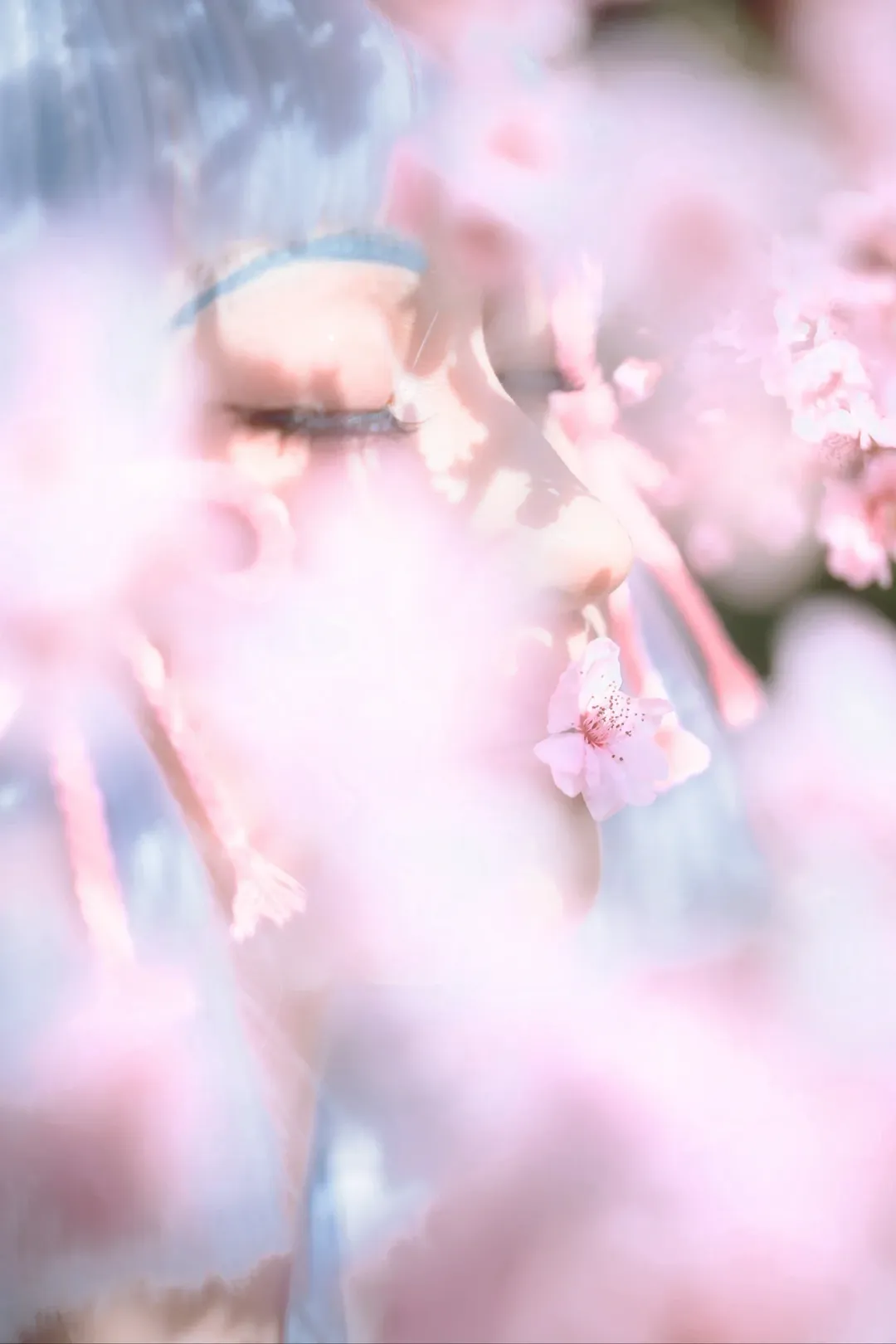 【神里绫华cos】原神樱花季拍摄过程记录 - 第 2 张