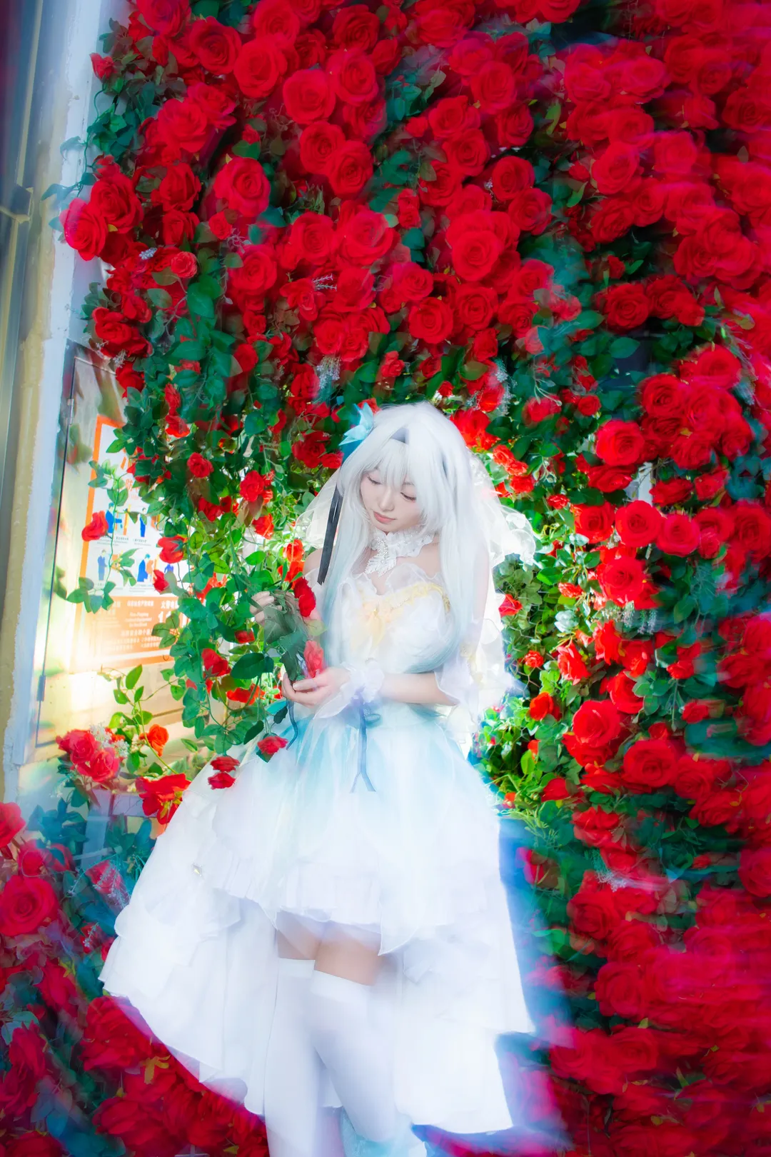 【流萤cos】第一次拍旋焦，花嫁流萤红玫瑰丛中出片 - 第 1 张