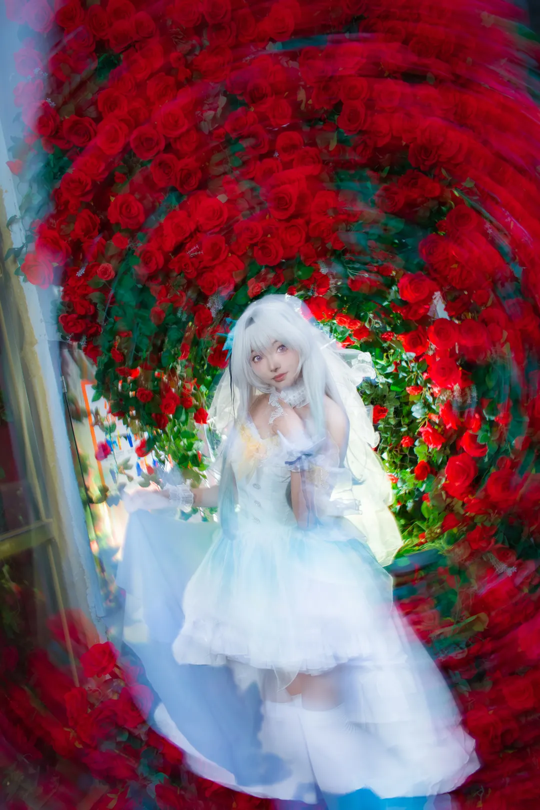 【流萤cos】第一次拍旋焦，花嫁流萤红玫瑰丛中出片 - 第 2 张