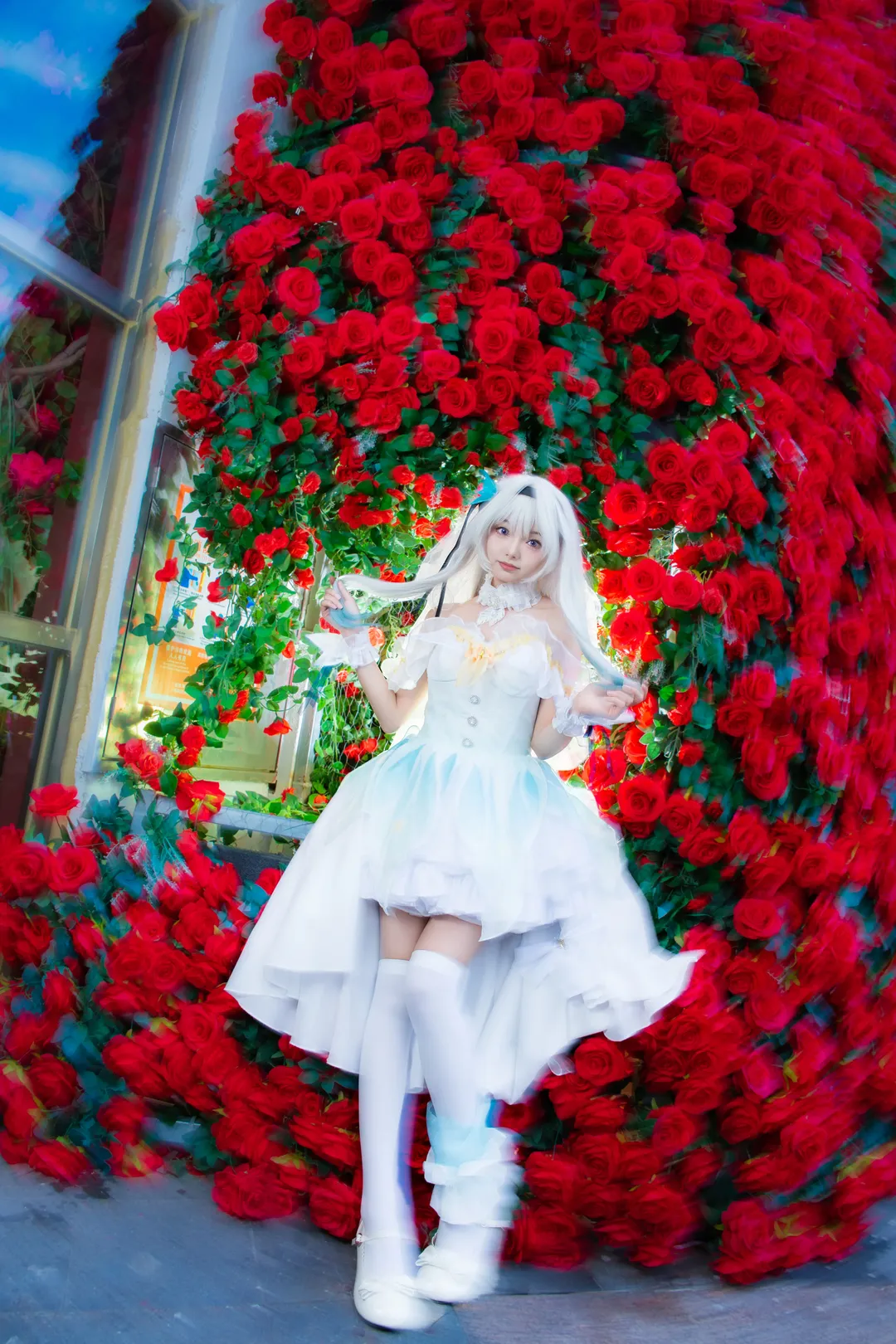 【流萤cos】第一次拍旋焦，花嫁流萤红玫瑰丛中出片 - 第 4 张