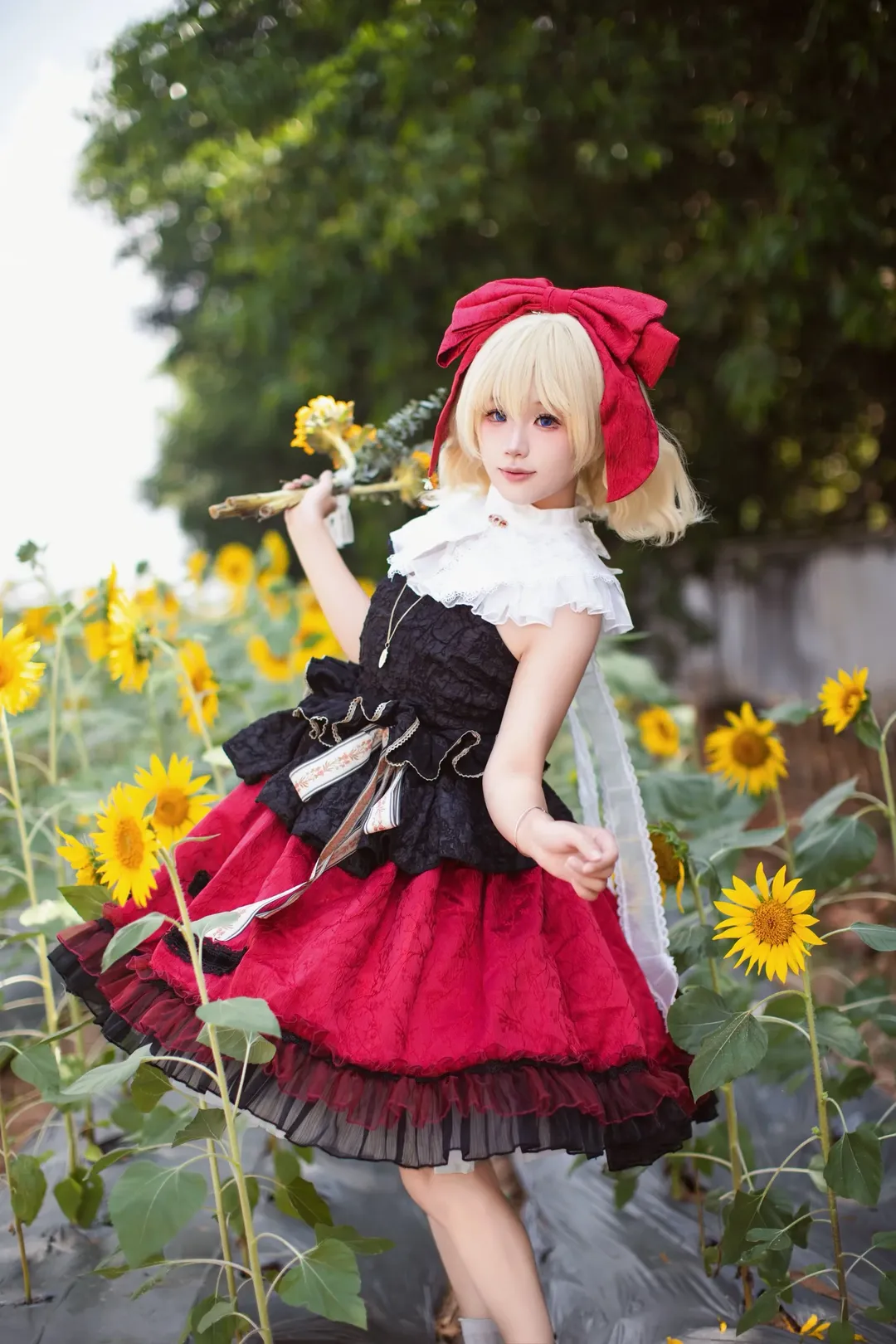 【梅蒂欣梅兰可莉cos】向日葵花田里的迷之毒药，东方project的暗黑与纯白
