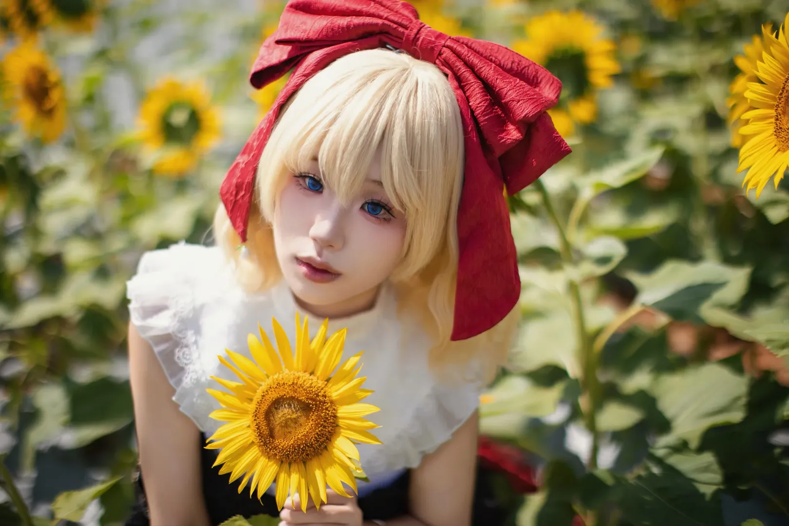 [Medicine Melancholy cosplay] Enigmatic poison in a Sunflower field: Touhou Project's darkness and pure white - Image 3