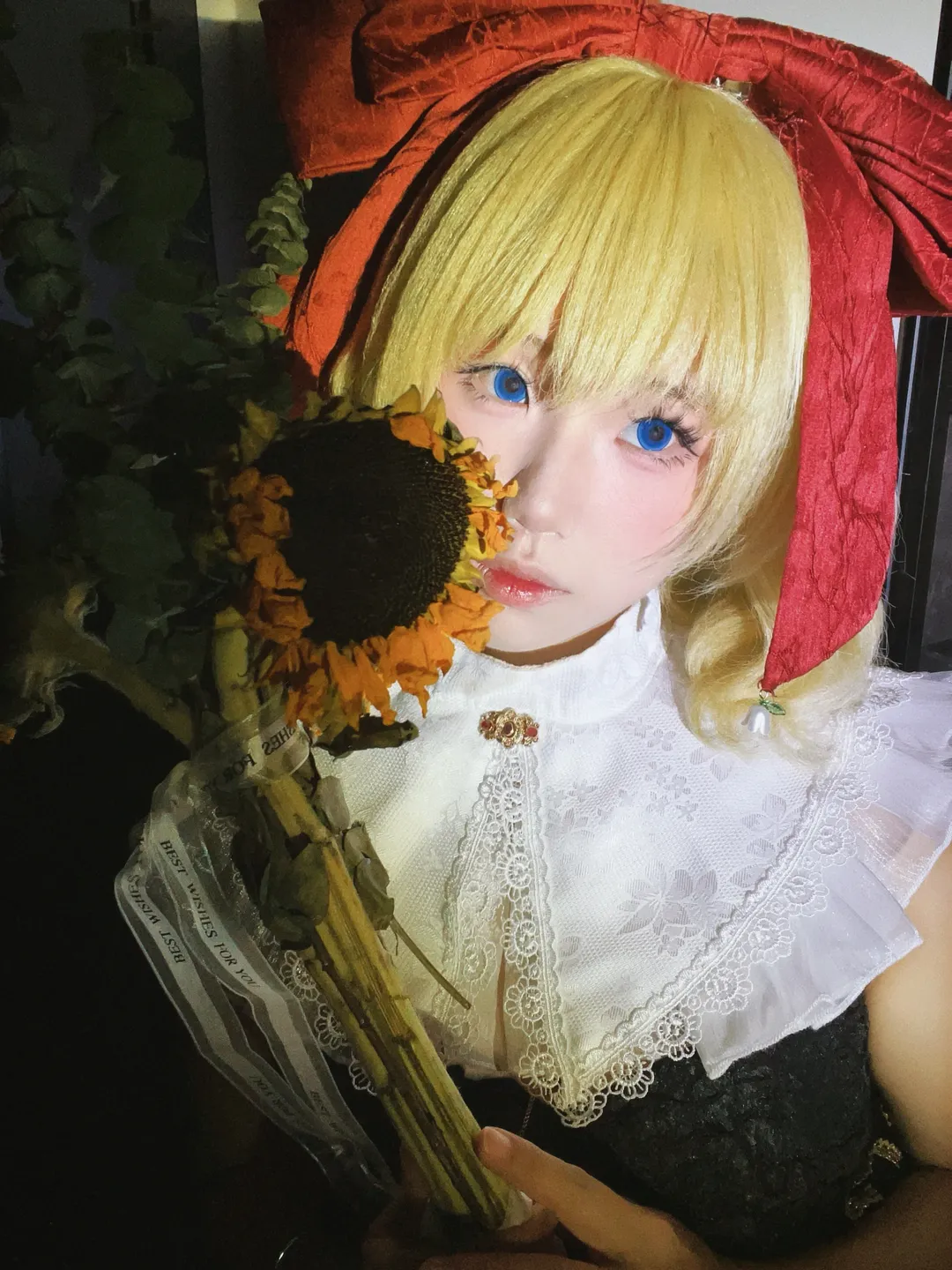 【梅蒂欣cos】东方project里的毒人偶，带着枯萎的向日葵 - 第 3 张