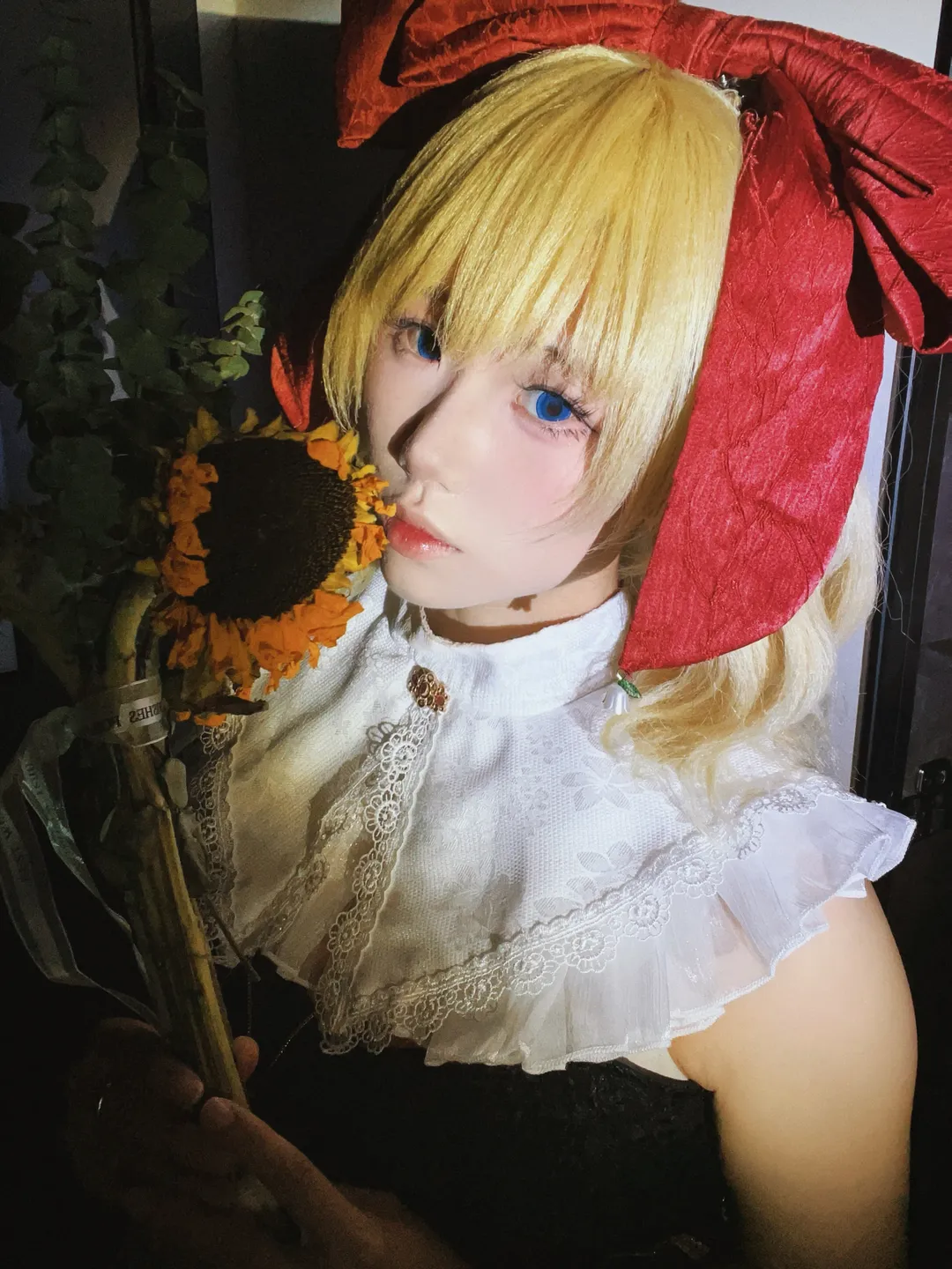 【梅蒂欣cos】东方project里的毒人偶，带着枯萎的向日葵