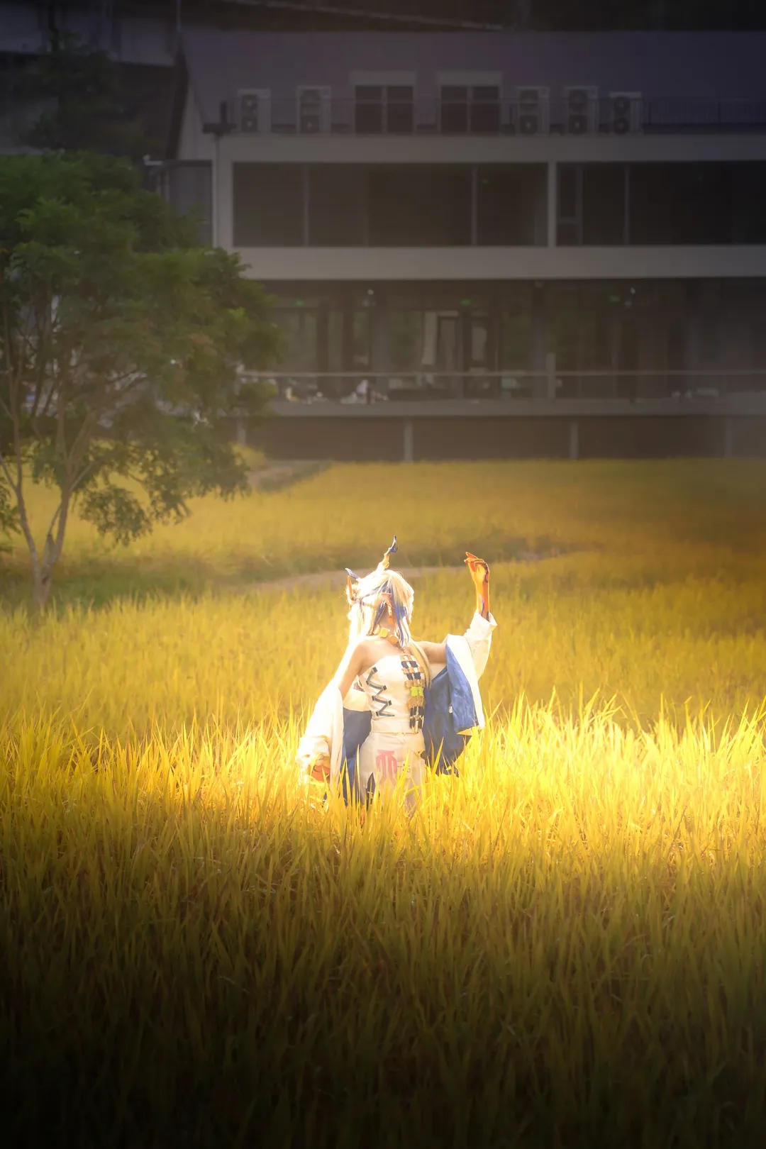 【黍cos】明日方舟金黄色的麦田和夜景人像的绝佳搭配 - 第 5 张