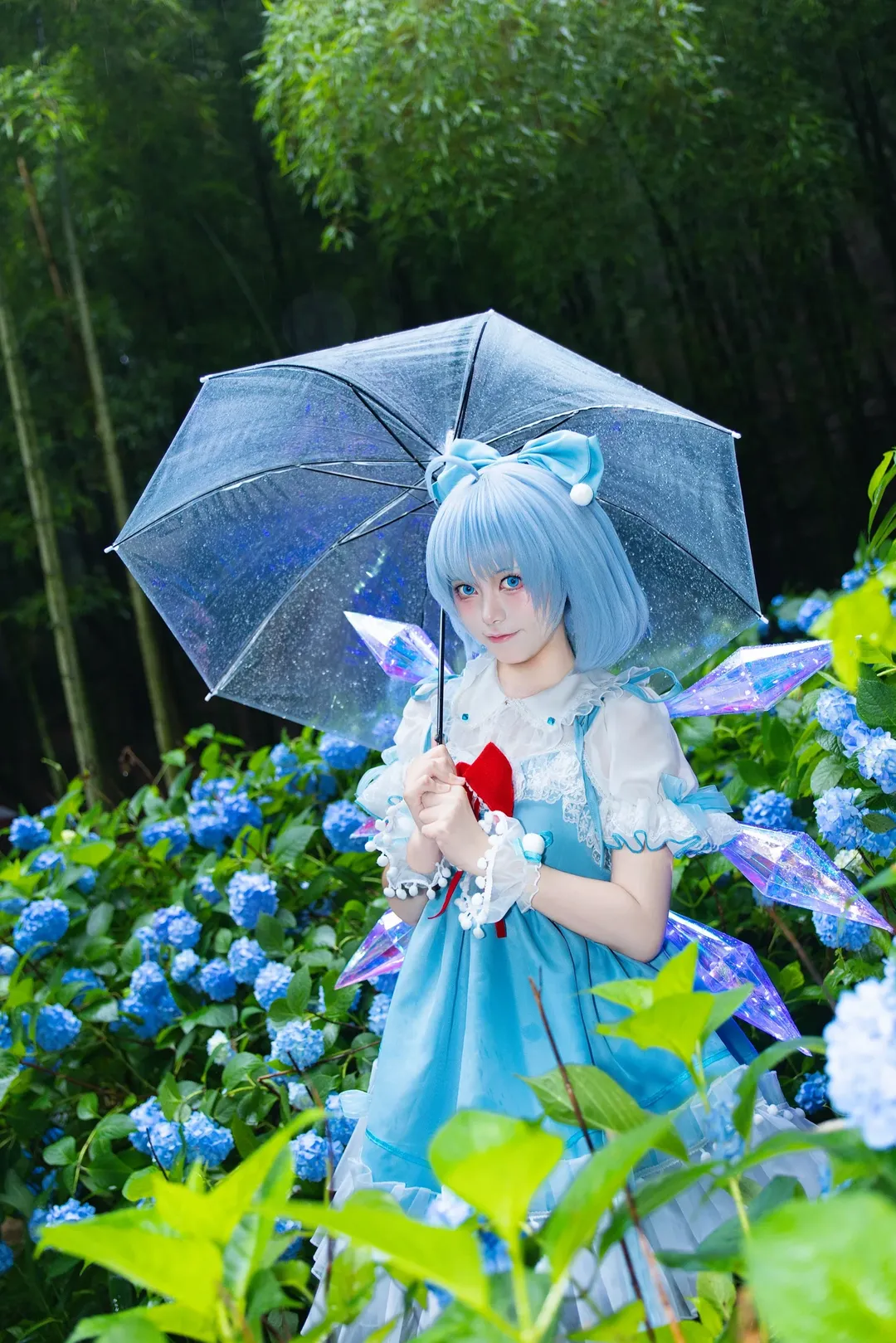 【琪露诺cos】雨中竹林与绣球花，冷色调的东方project演绎 - 第 1 张