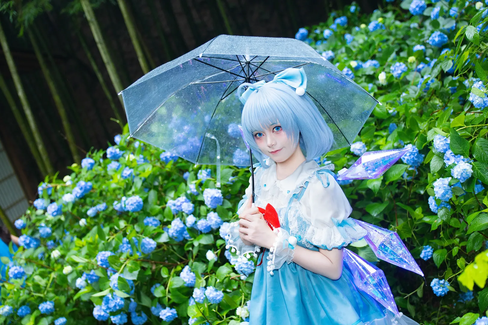 【琪露诺cos】雨中竹林与绣球花，冷色调的东方project演绎