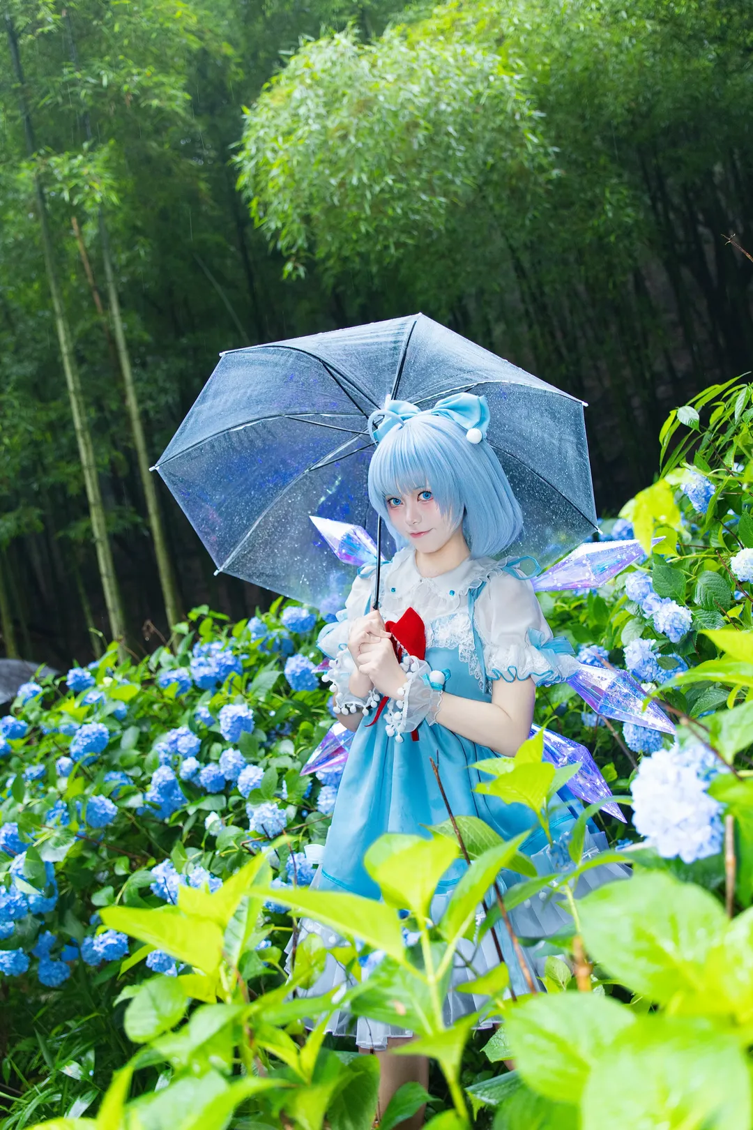 【琪露诺cos】雨中竹林与绣球花，冷色调的东方project演绎 - 第 3 张
