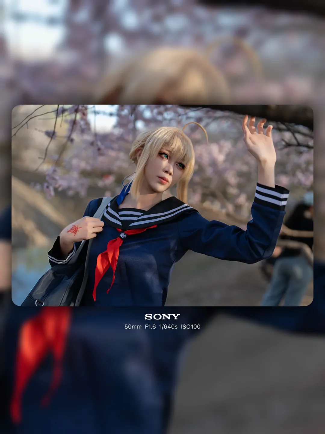 【Saber cos】卫宫家今天吃什么，春天就要配上水手服和樱花
