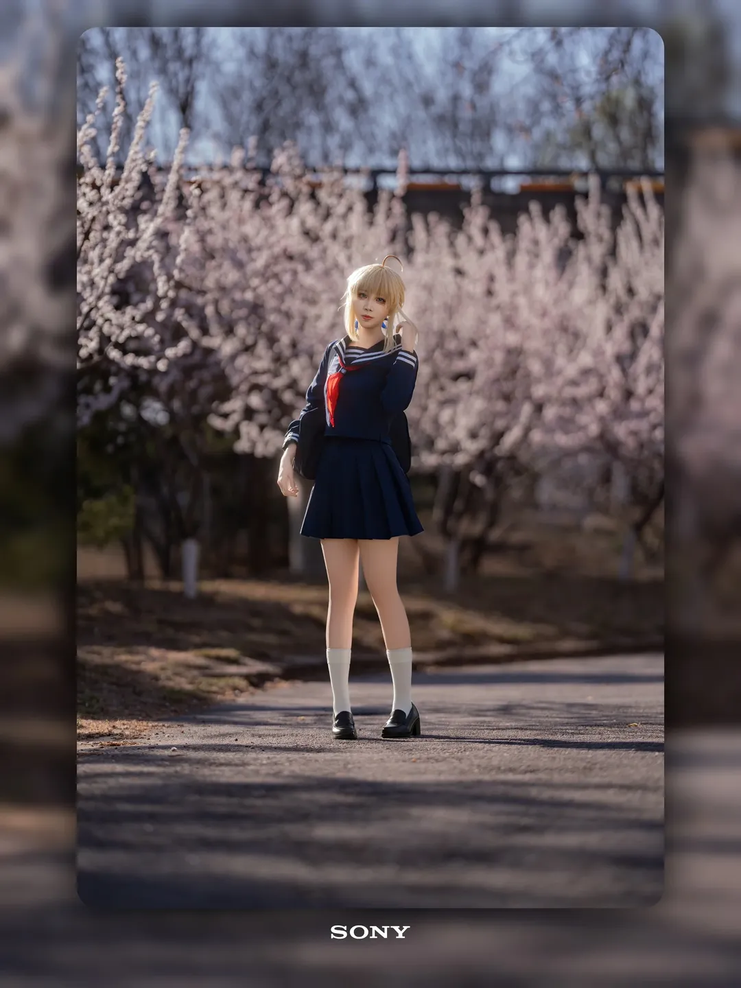 【阿尔托莉雅cos】FGO春日阳光下的水手服拍摄分享