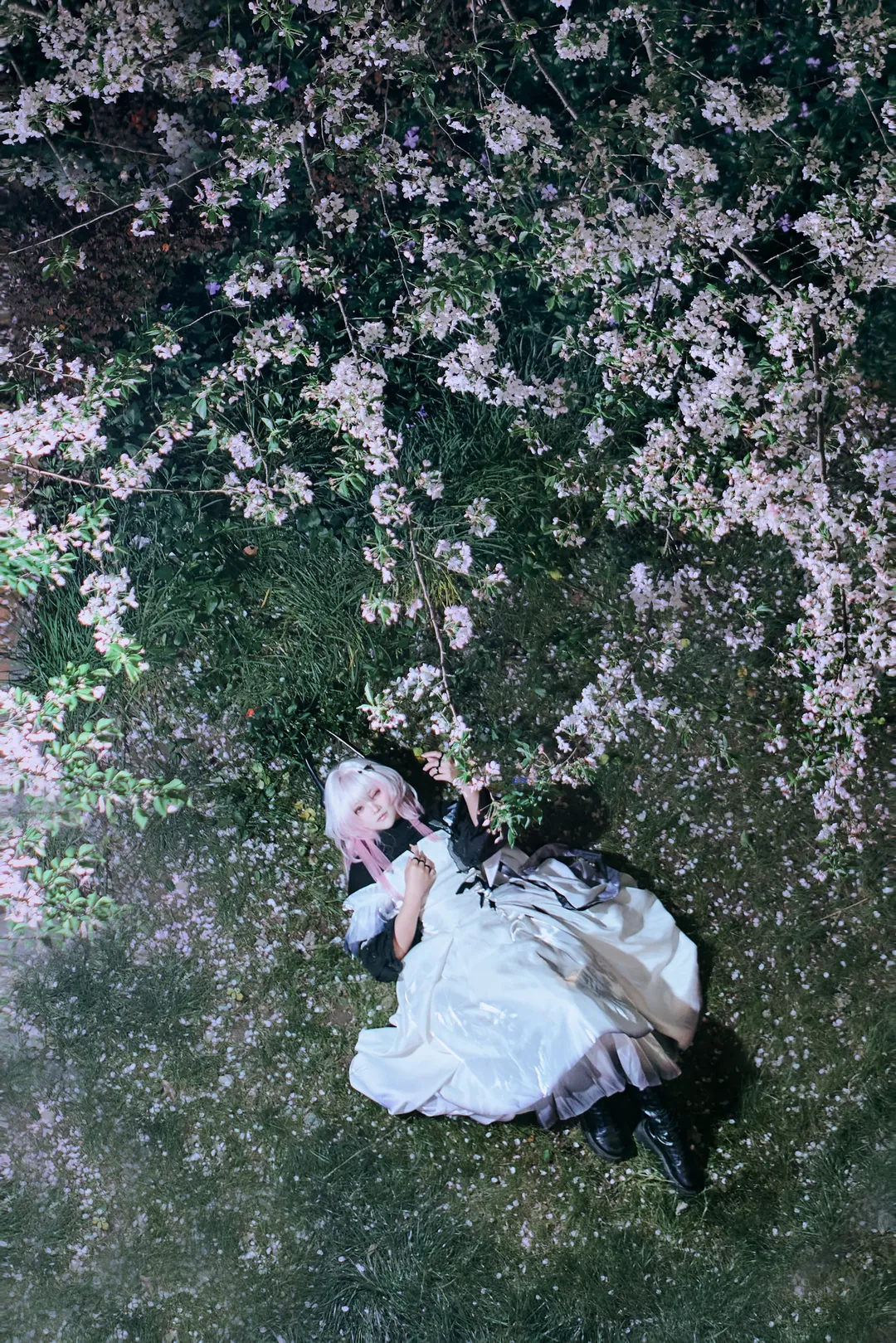 【特蕾西娅cos】当摄影师站在五楼，我就这样倒在花海里