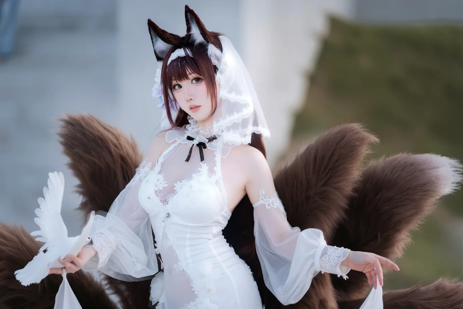 【天城cos】碧蓝航线誓约天城的纯白之约 - 第 5 张