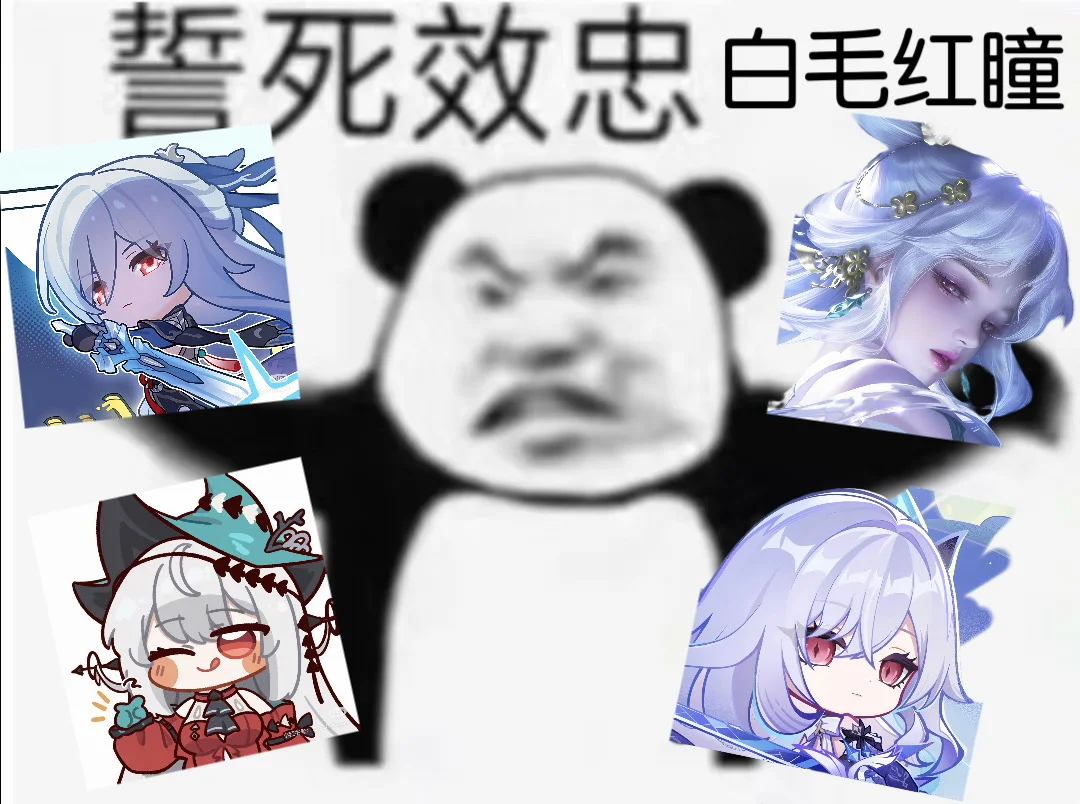 【斯卡蒂镜流丝柯克cos】明日方舟崩坏星穹铁道原神，白毛红瞳的多元呈现 - 第 5 张
