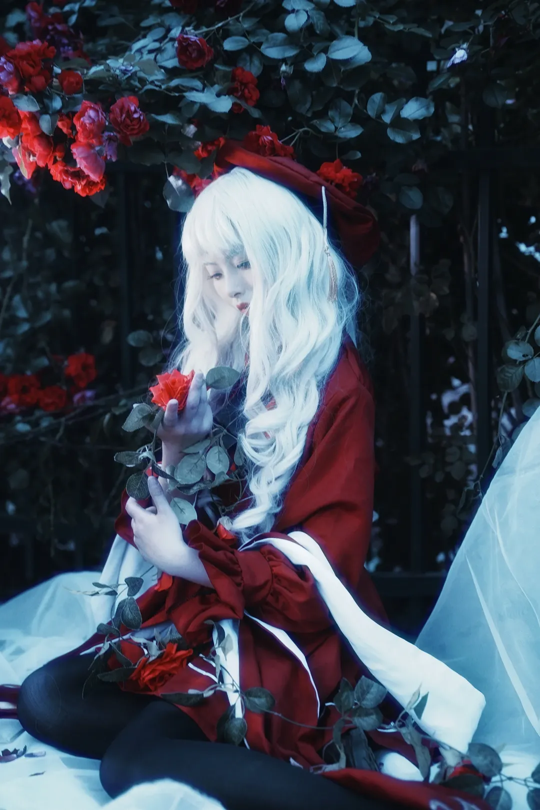 【卡莲cos】荆棘玫瑰中的暗夜魔女