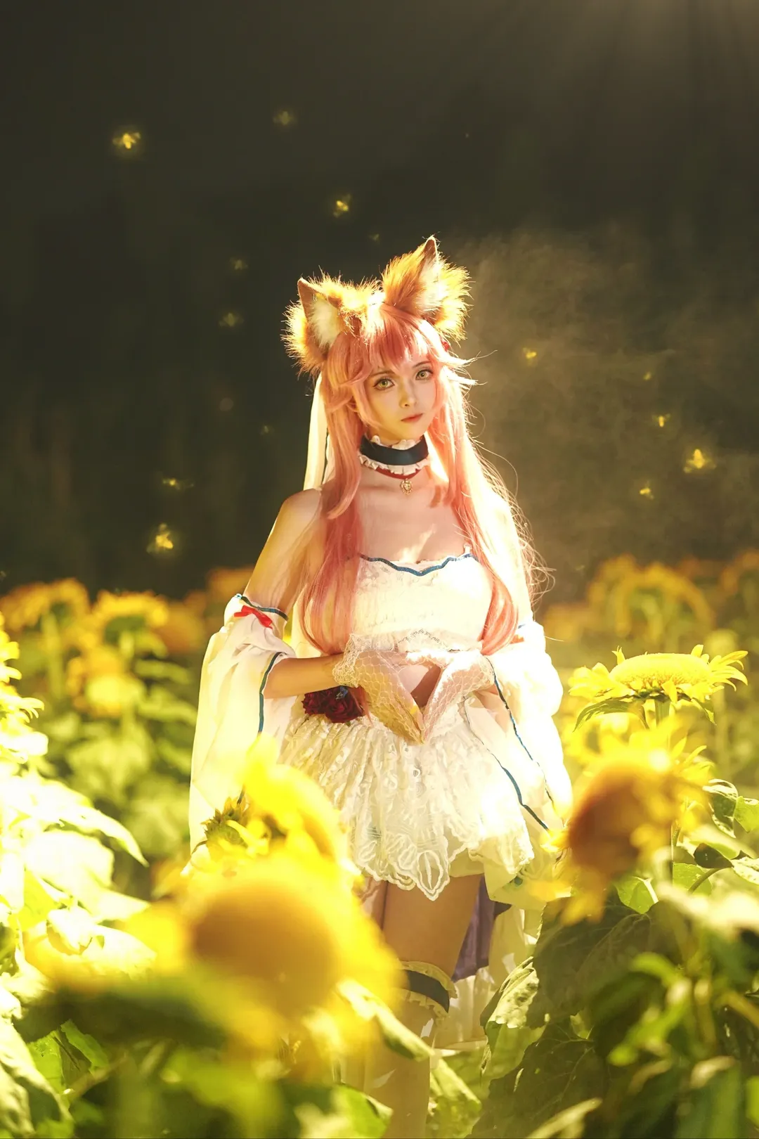 【玉藻前cos】在向日葵花海夜景里留下这份美丽