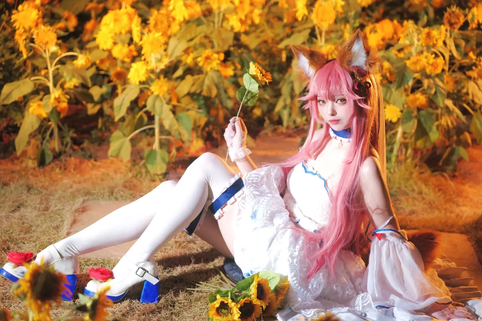 【玉藻前cos】夜色中的向日葵花海，白裙与兽耳同人拍摄记录