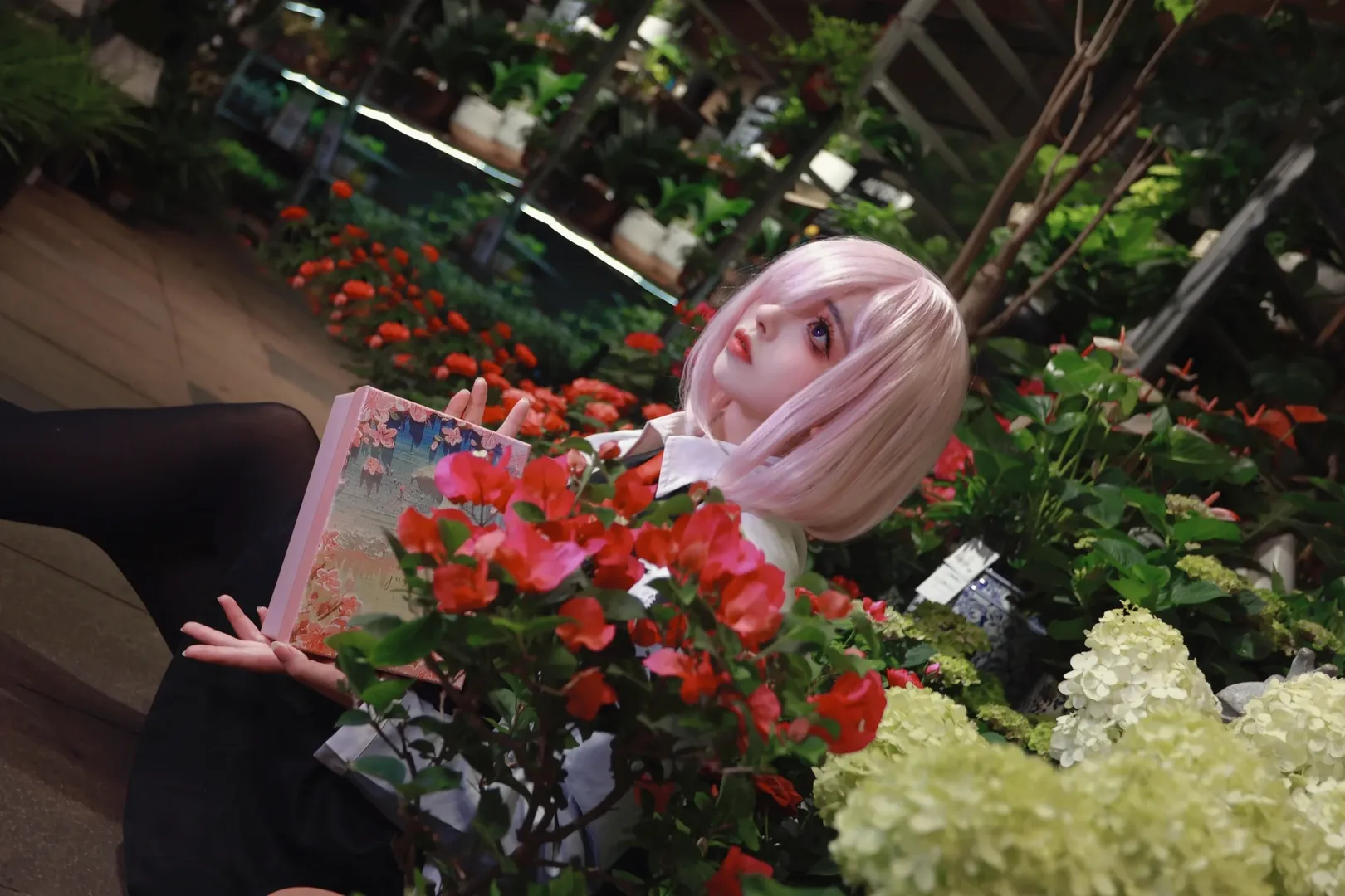 【玛修cos】FGO花房里的学妹，静谧光影下的定格 - 第 4 张