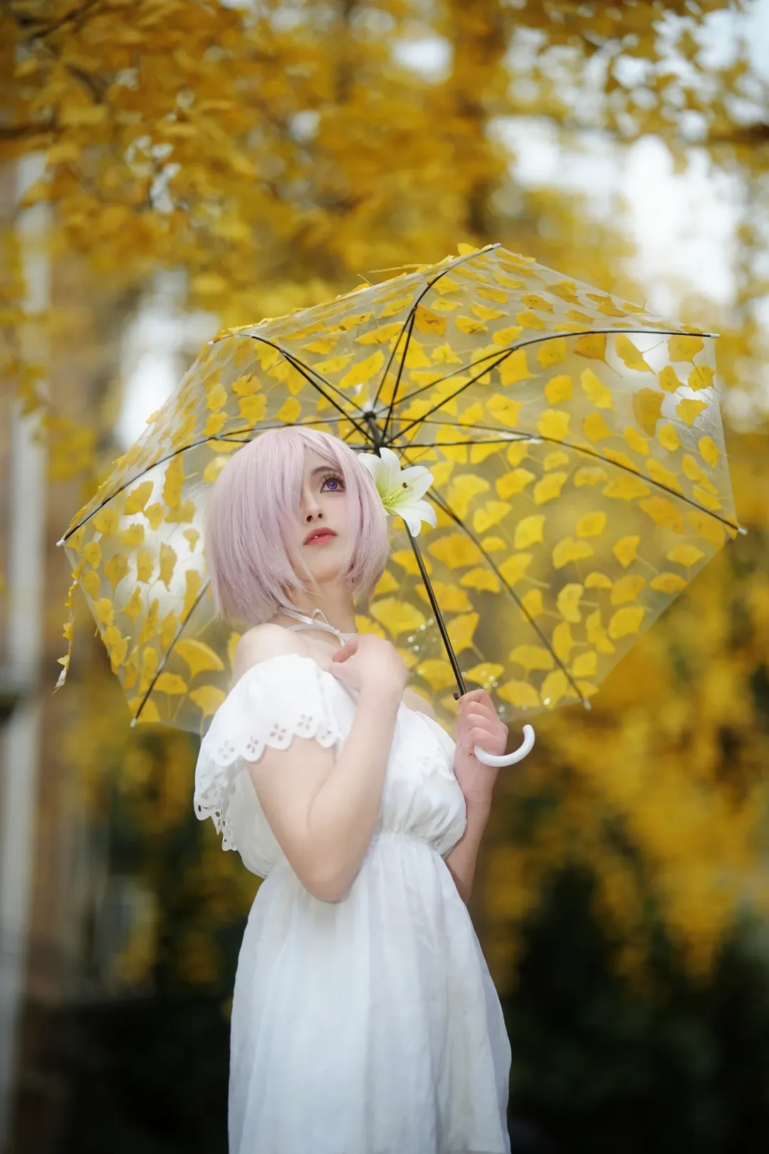 【瑪修cos】秋日銀杏與百合，以愛之名的執著 - 第 4 張