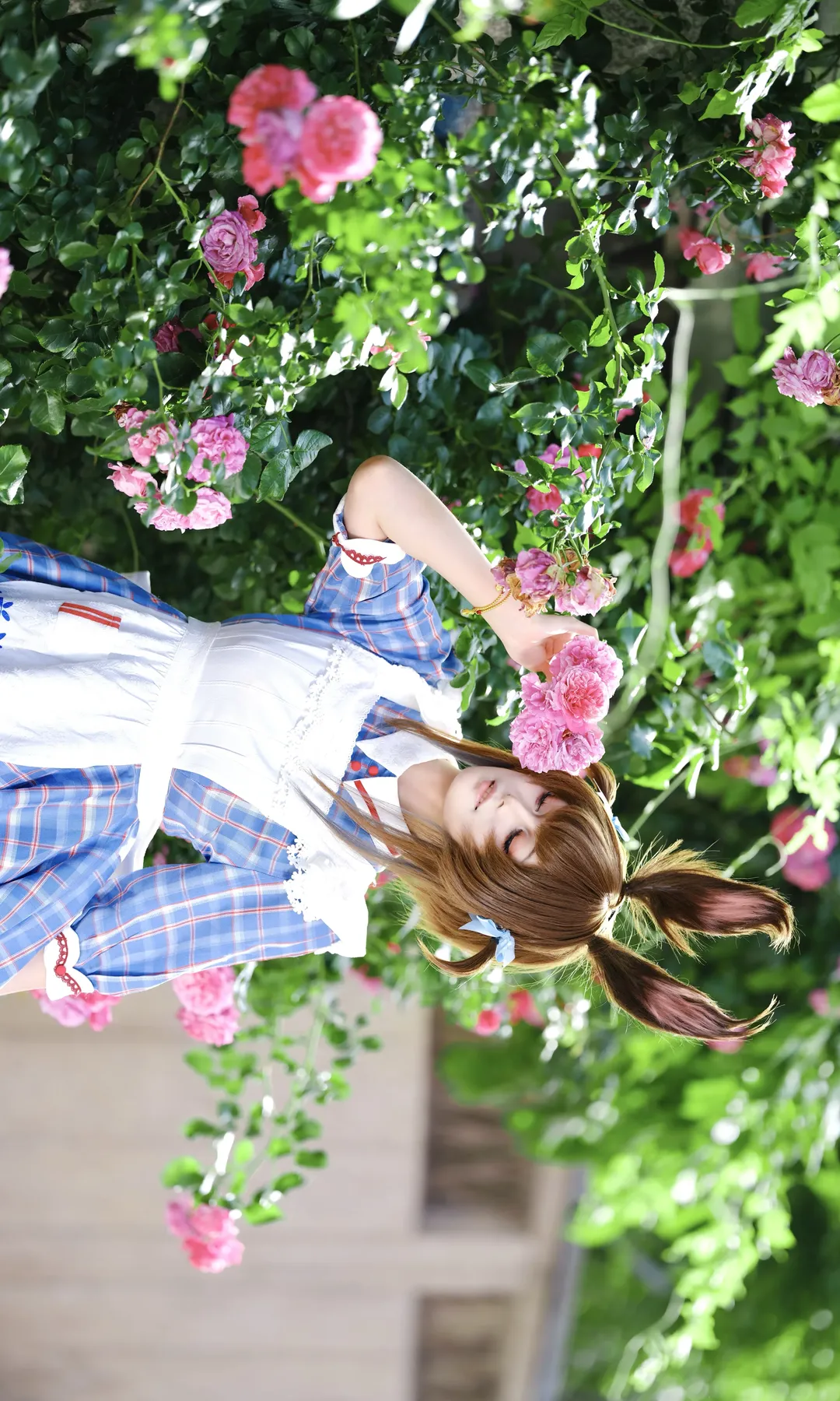 [Amiya cosplay] Capturing the spring atmosphere of Arknights between roses and White Rabbit - Image 2