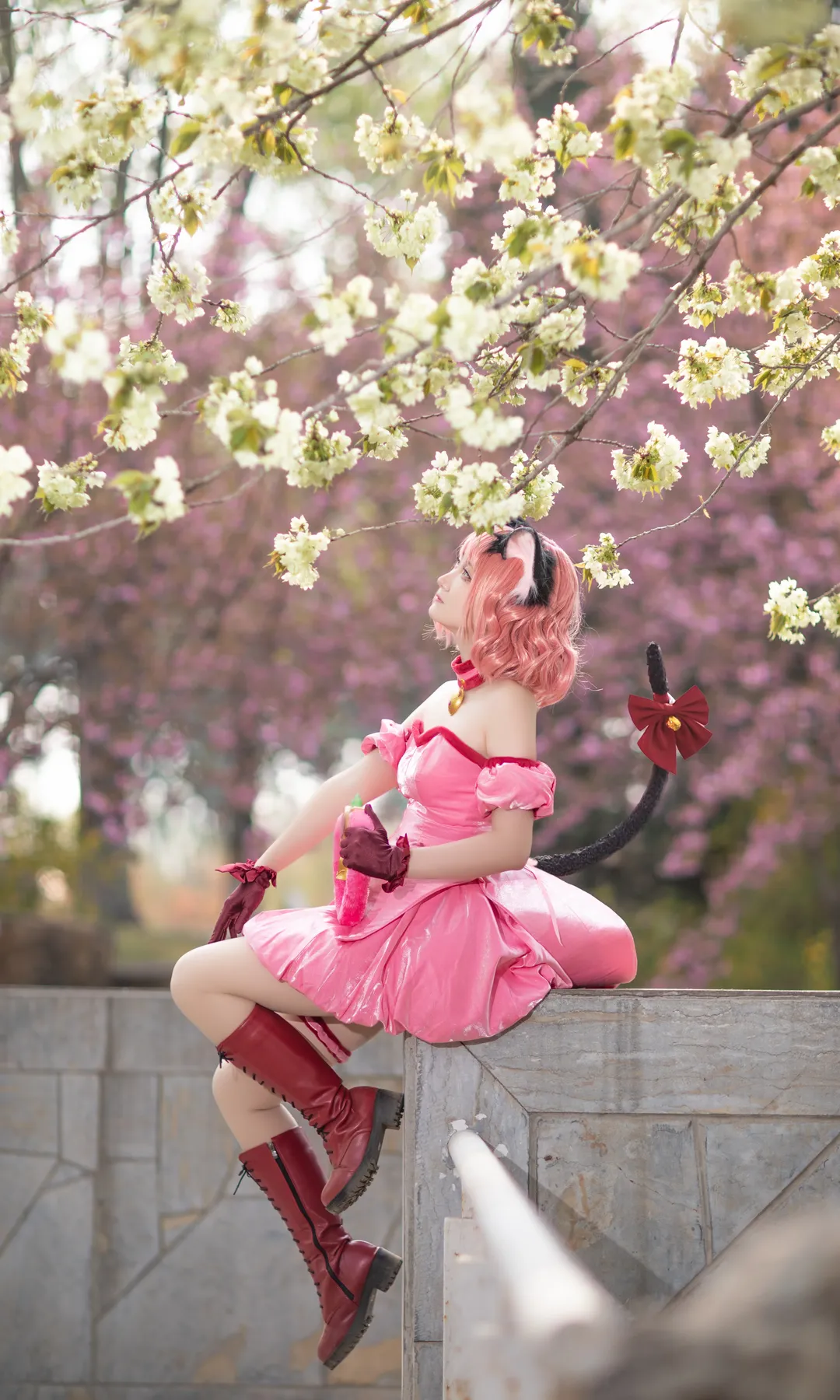 【桃宮いちごコスプレ】『東京ミュウミュウ』、桜の下で咲き誇るピンク猫娘の春フォト - 1 枚目