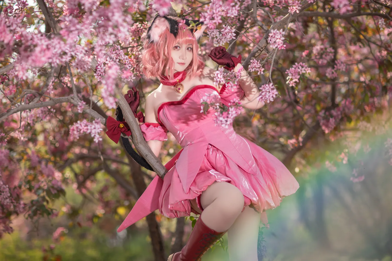 【桃宫莓cos】春日樱花下的草莓猫猫 - 第 2 张