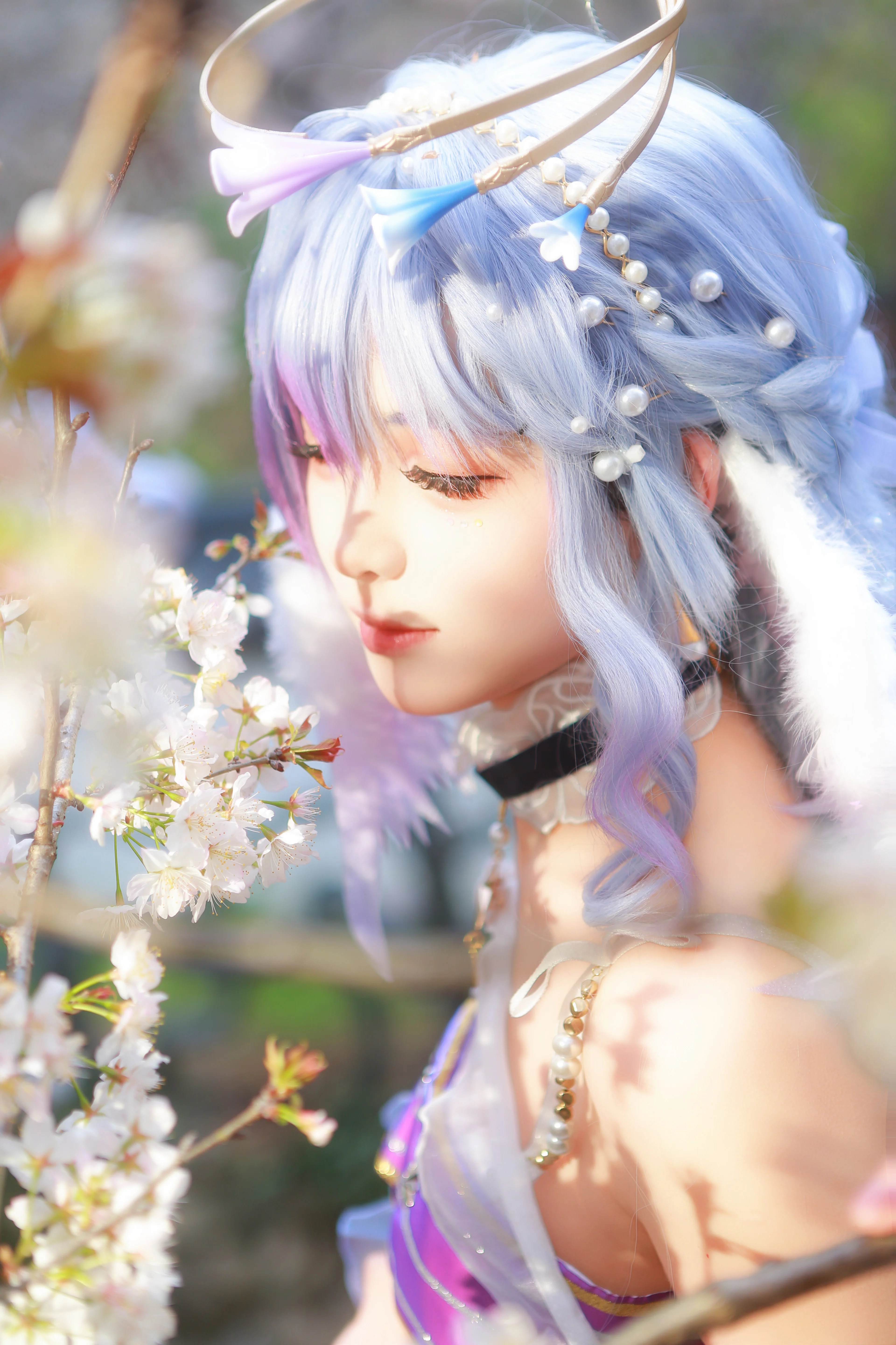 【知更鸟cos】星穹铁道，春日落樱下的宁静一刻 - 第 2 张