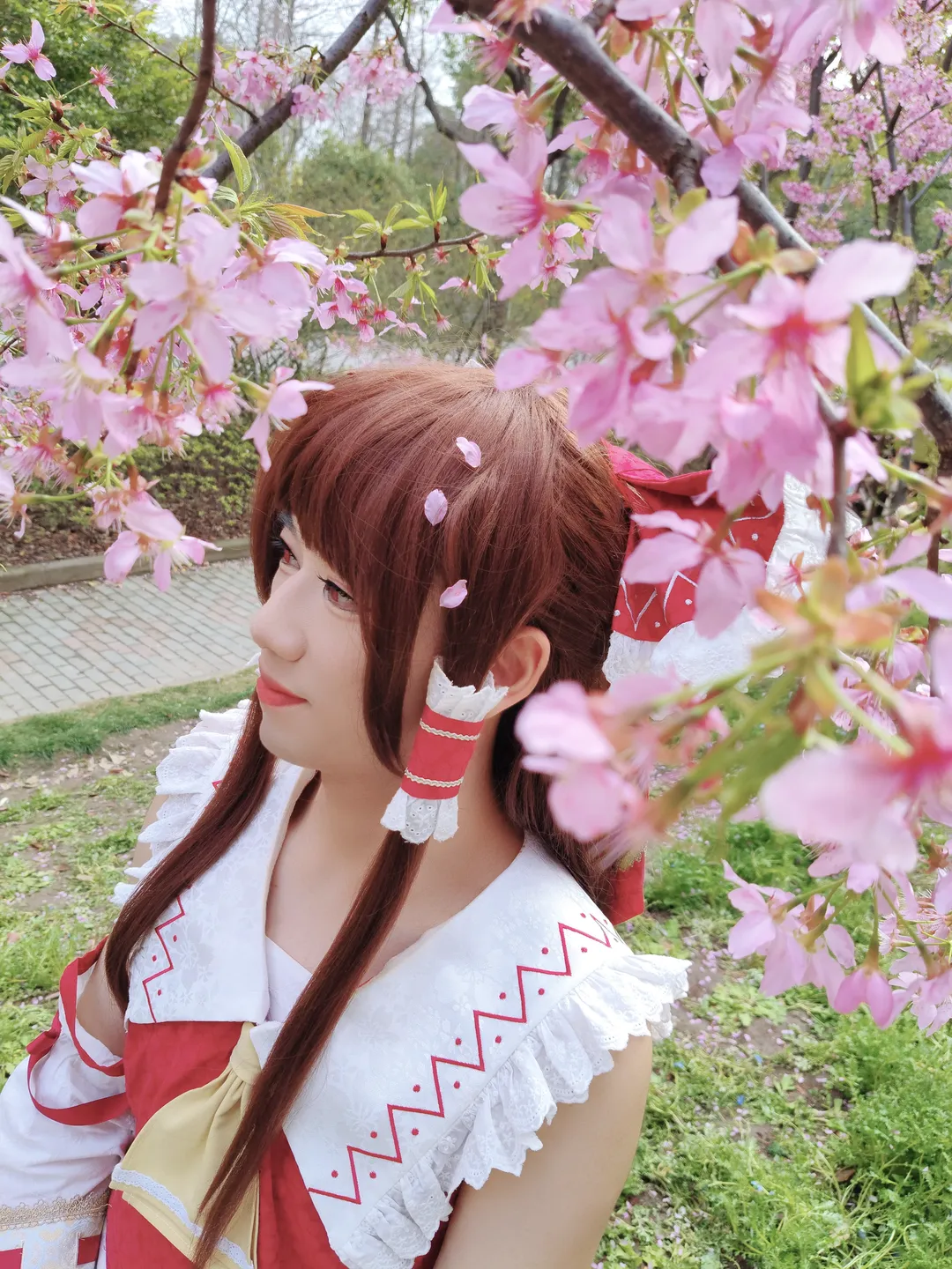 [Reimu Hakurei Cosplay] Spring Memories of a Shrine Maiden and Cherry Blossoms - Image 1
