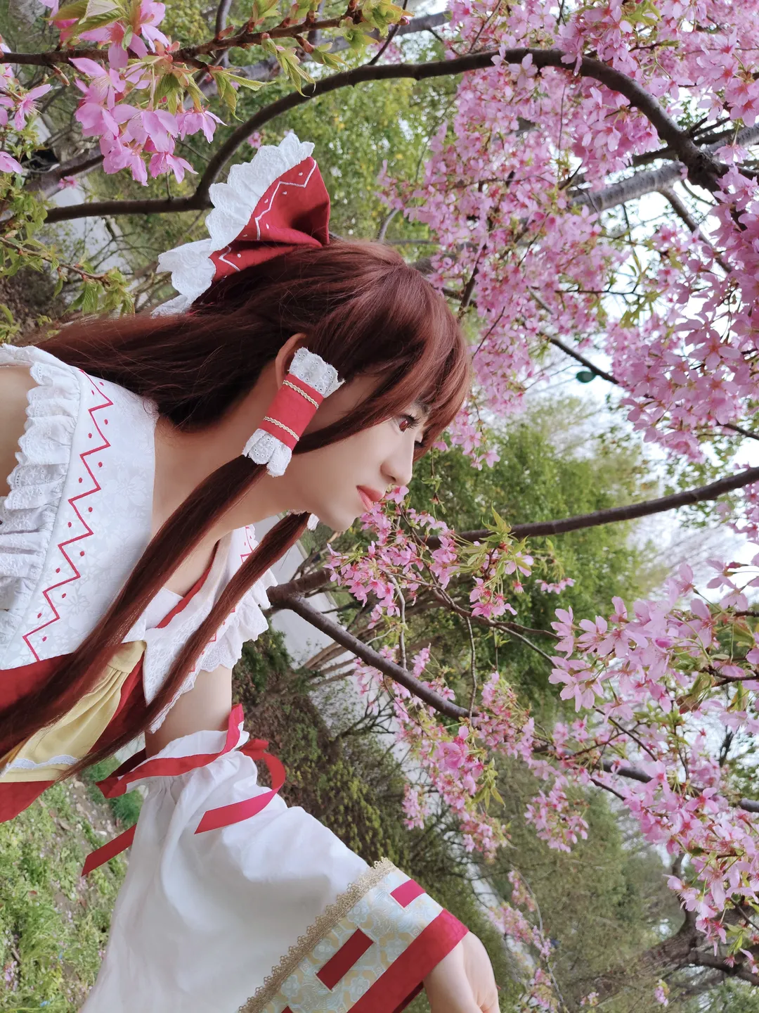 [Reimu Hakurei Cosplay] Spring Memories of a Shrine Maiden and Cherry Blossoms - Image 3