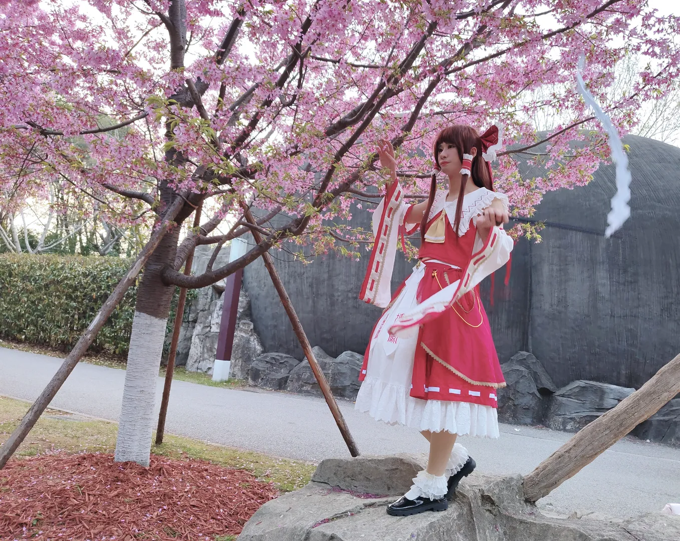 【博丽灵梦cos】巫女与樱花的春日留影