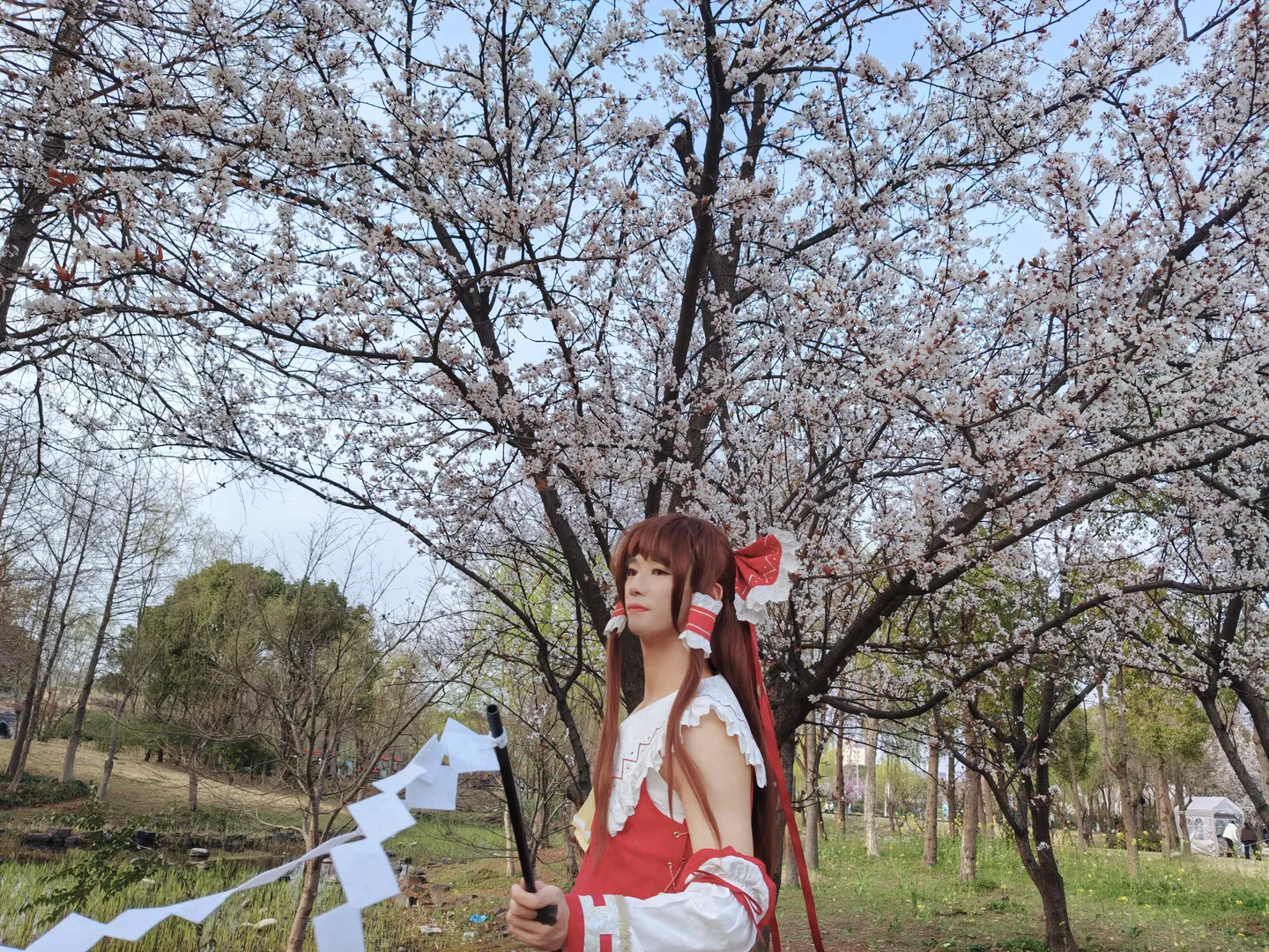 [Reimu Hakurei Cosplay] Spring Memories of a Shrine Maiden and Cherry Blossoms - Image 6