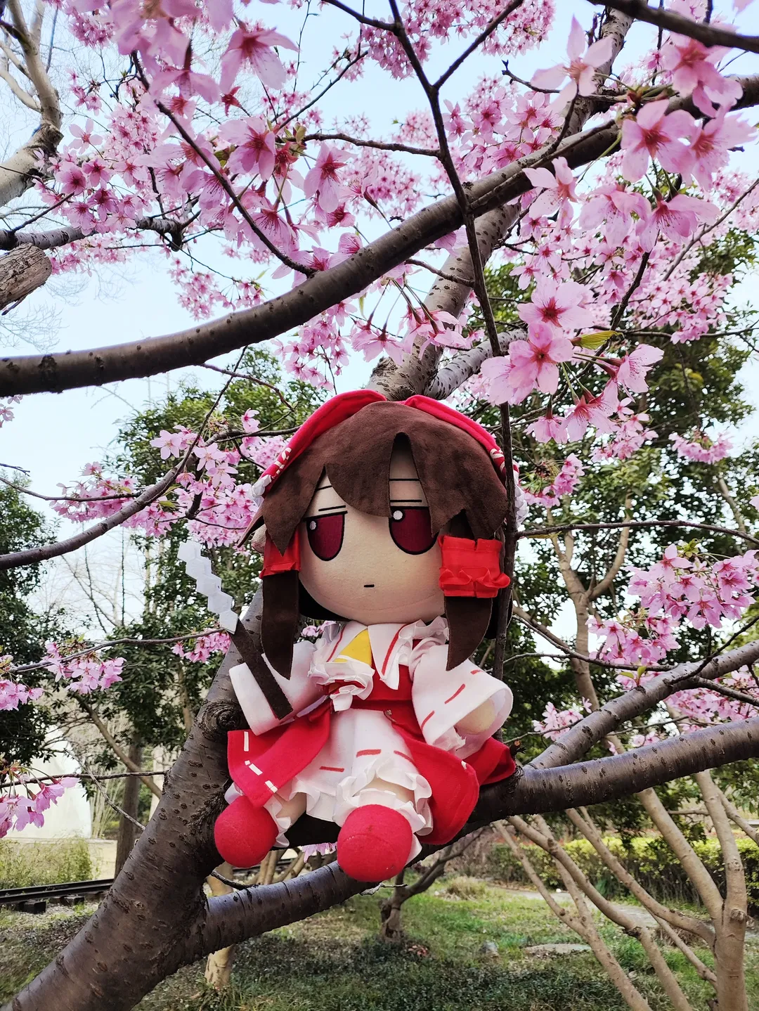【博丽灵梦cos】樱花树下的灵梦与Fumo的春日漫游 - 第 6 张