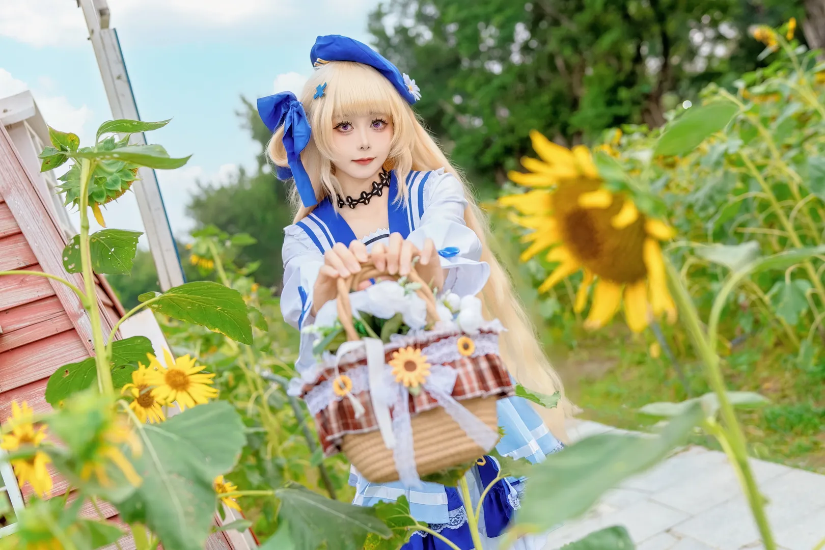 【菲比cos】向日葵花海里绽放的鸣潮联动限定 - 第 5 张