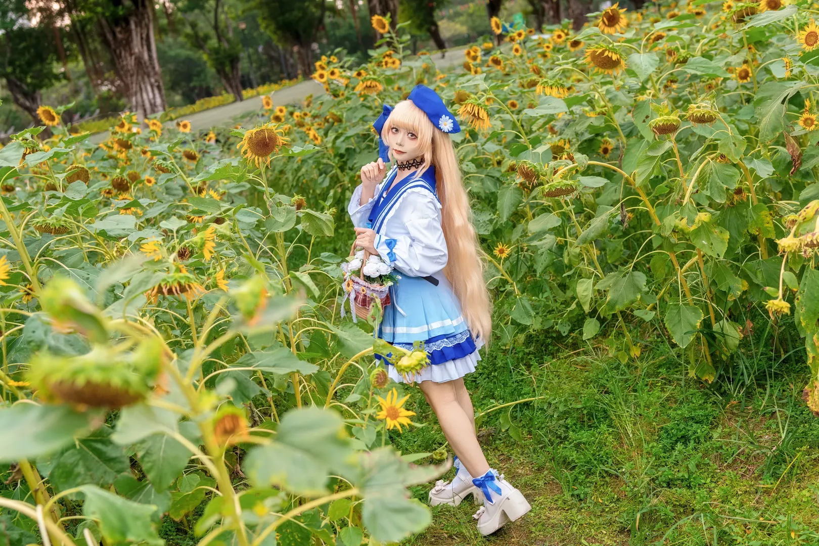 【菲比cos】向日葵花海里绽放的鸣潮联动限定 - 第 8 张