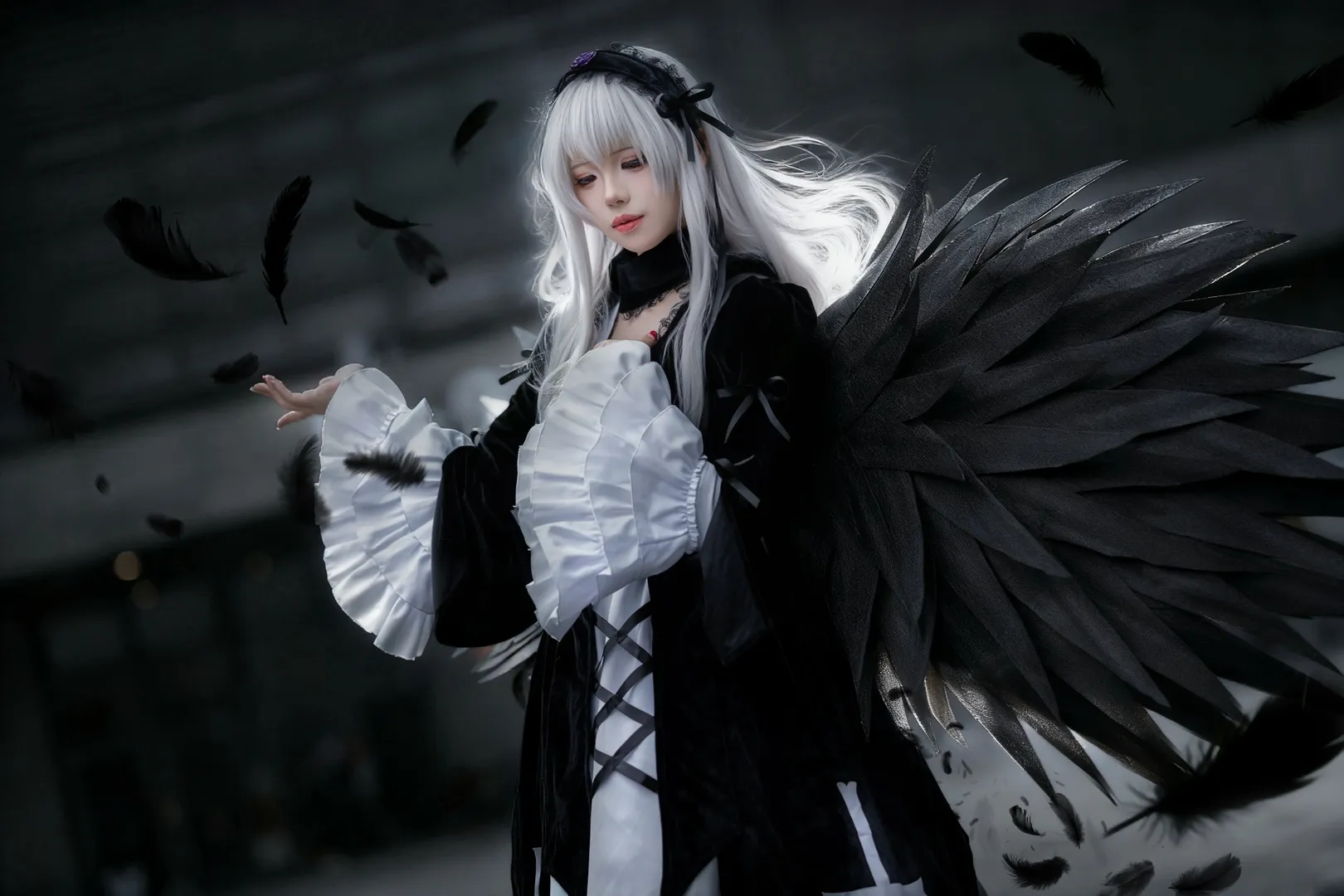 【水银灯cos】蔷薇少女第一人偶，黑羽下的哥特美学 - 第 3 张