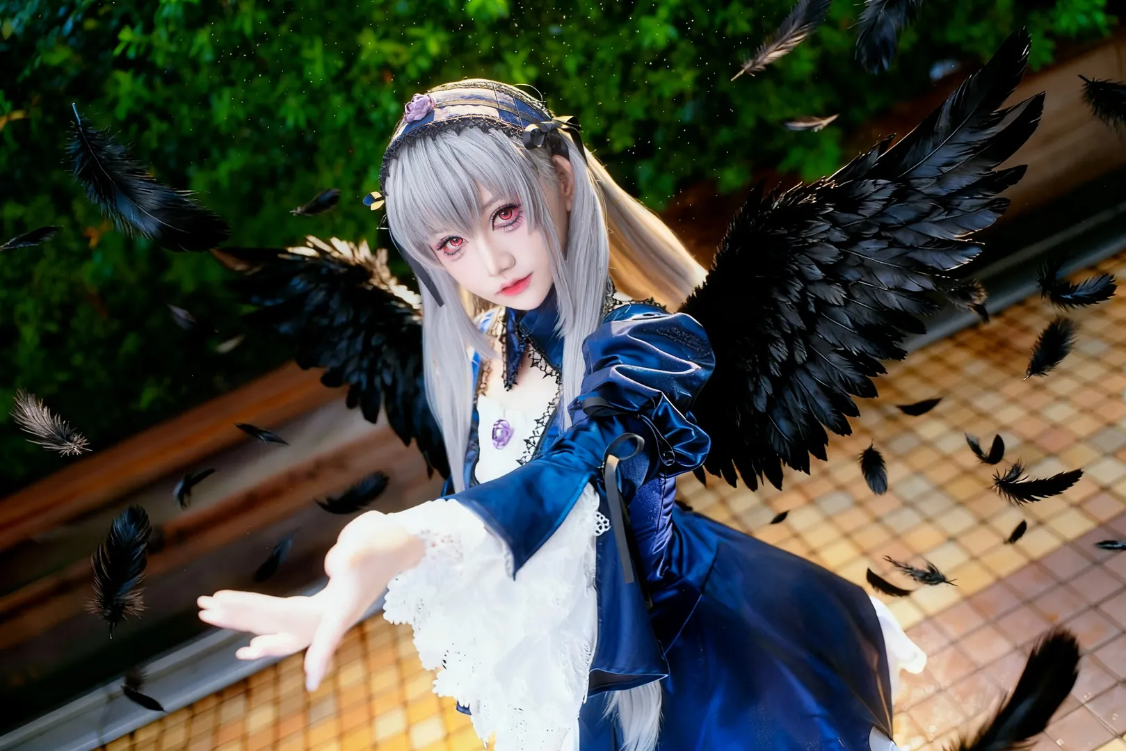【水银灯cos】蔷薇少女雨中池ハロ的场照 - 第 2 张