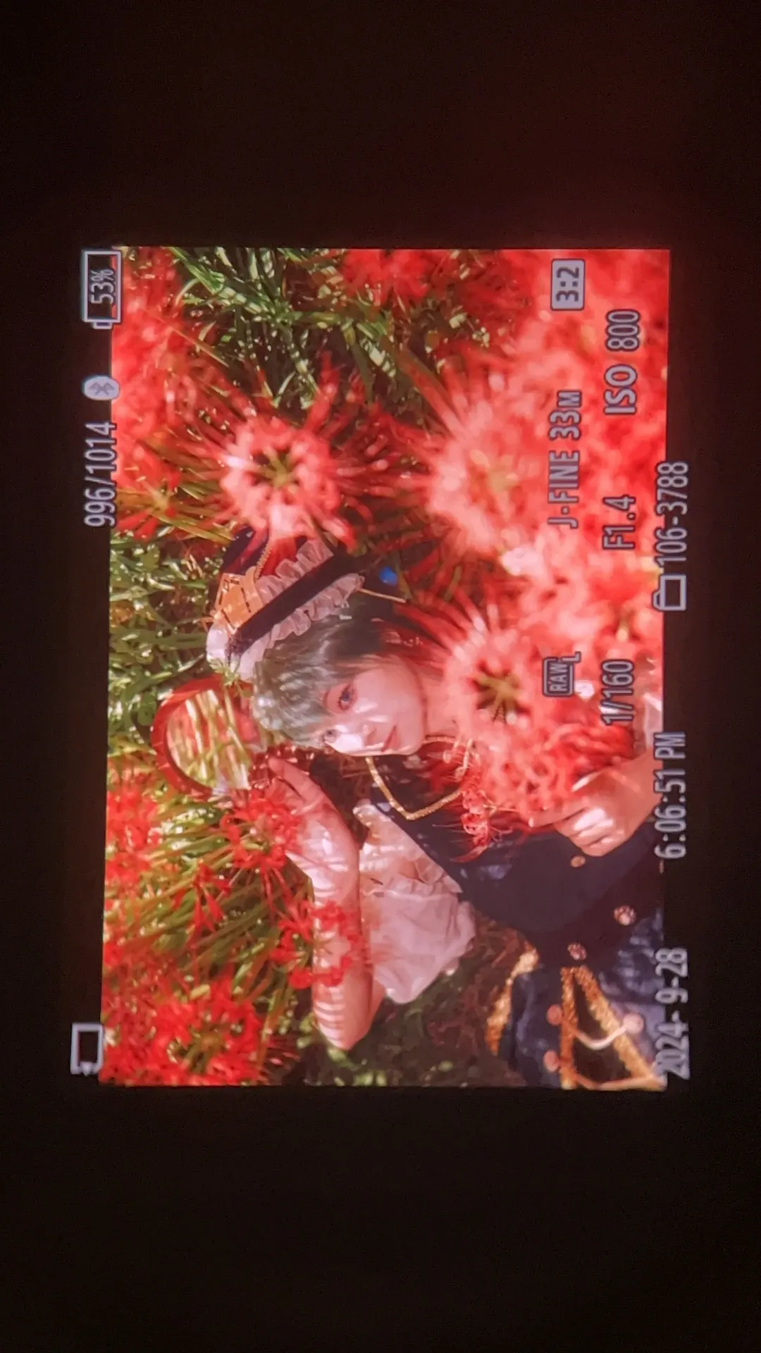 【四季映姬cos】在彼岸花海還原東方Project的威嚴 - 第 5 張