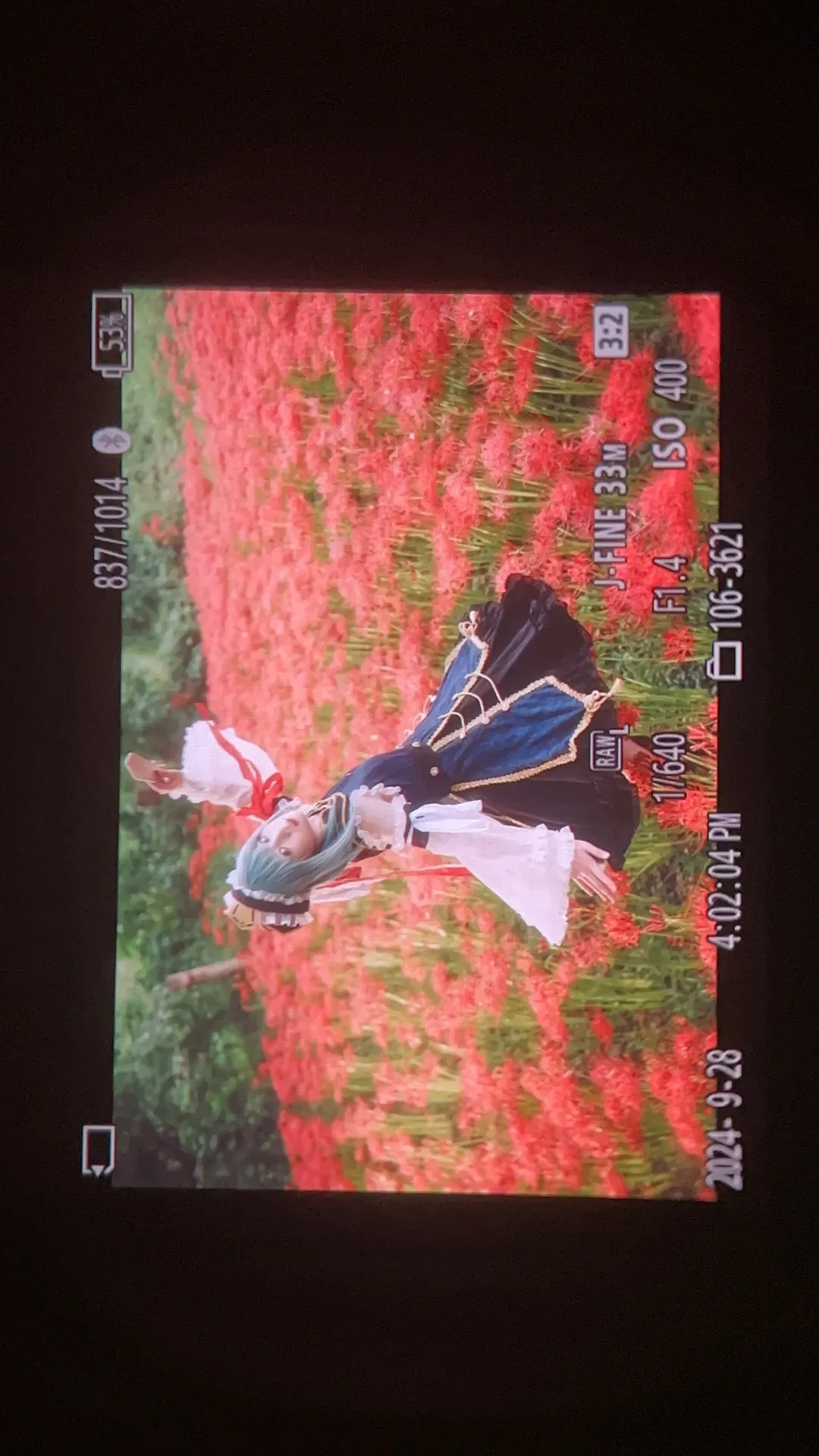 【四季映姬cos】在彼岸花海還原東方Project的威嚴 - 第 8 張