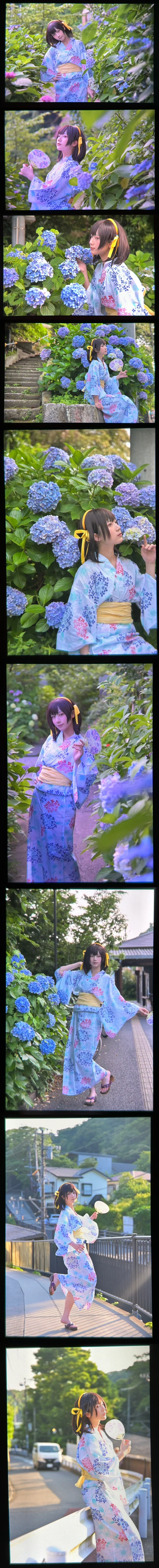 【凉宫春日cos】镰仓的紫阳花季与七夕愿望 - 第 6 张