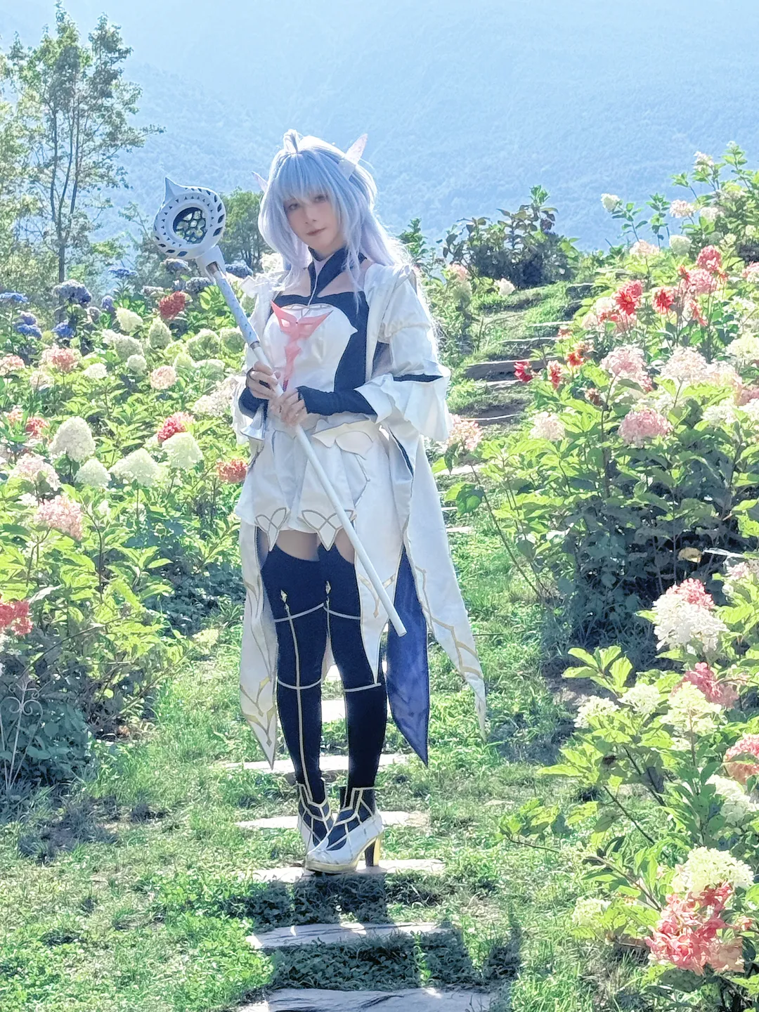 【梅林cos】FGO阿瓦隆女士的绣球花园外景 - 第 5 张