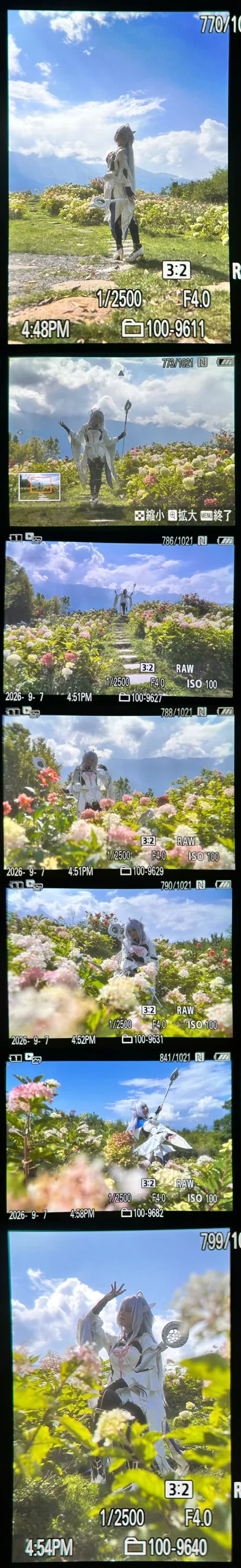 【梅林cos】FGO阿瓦隆女士的绣球花园外景 - 第 6 张