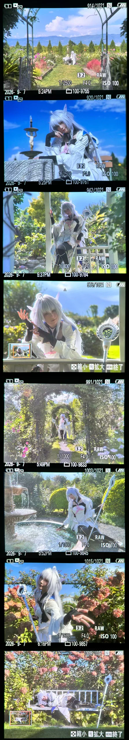 【梅林cos】FGO阿瓦隆女士的绣球花园外景 - 第 7 张