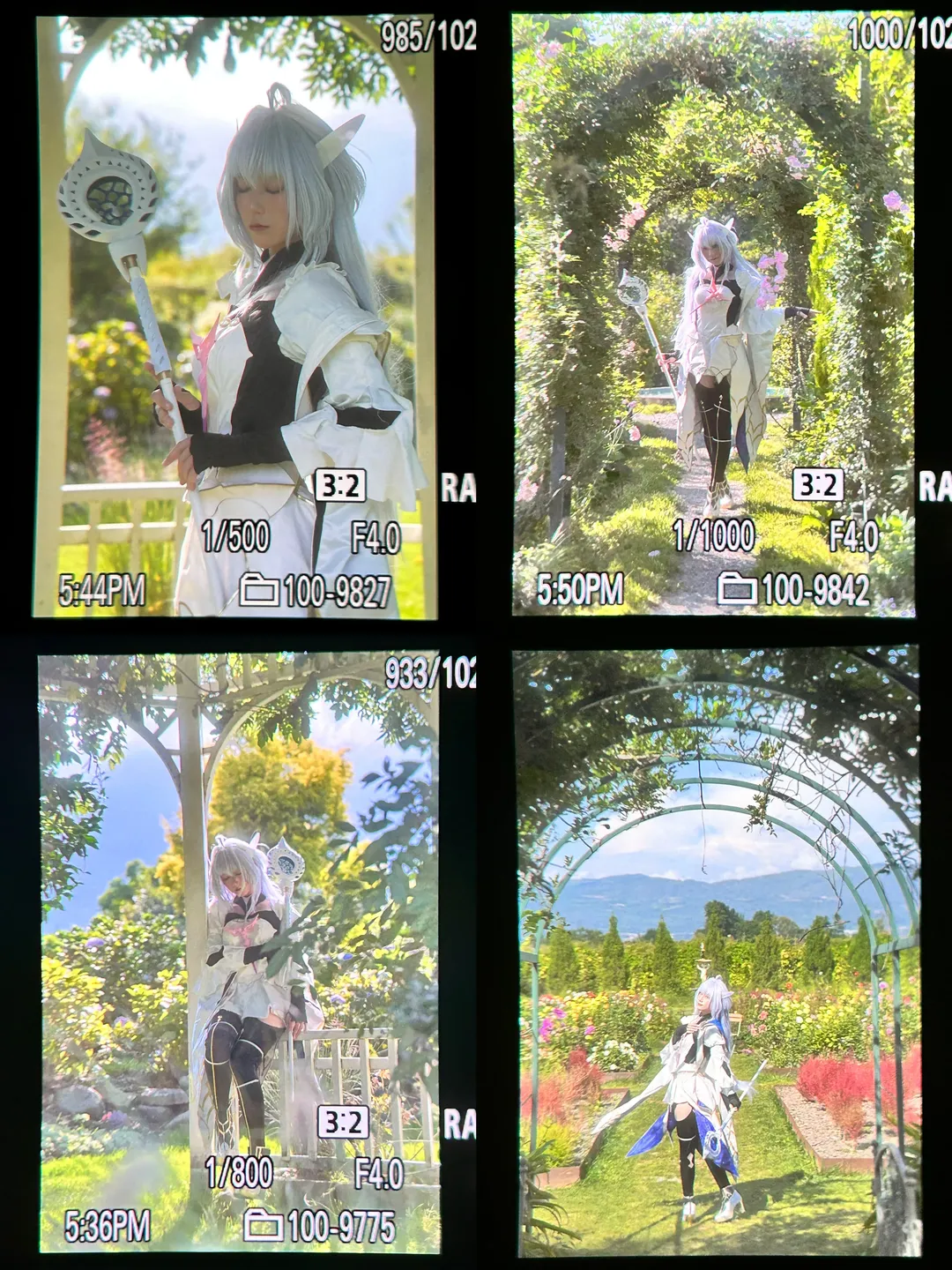 【梅林cos】FGO阿瓦隆女士的绣球花园外景 - 第 8 张