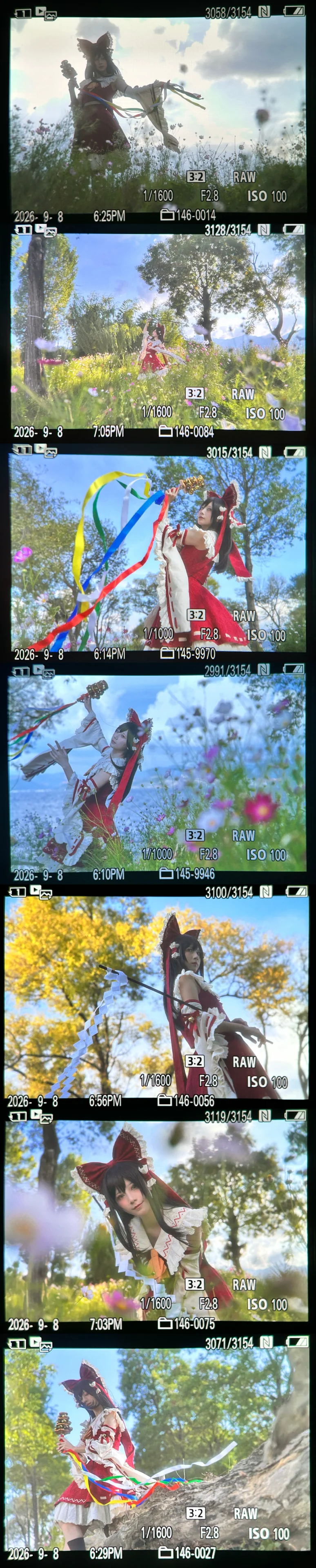【博丽灵梦cos】在洱海边遇上格桑花期的东方Project - 第 5 张