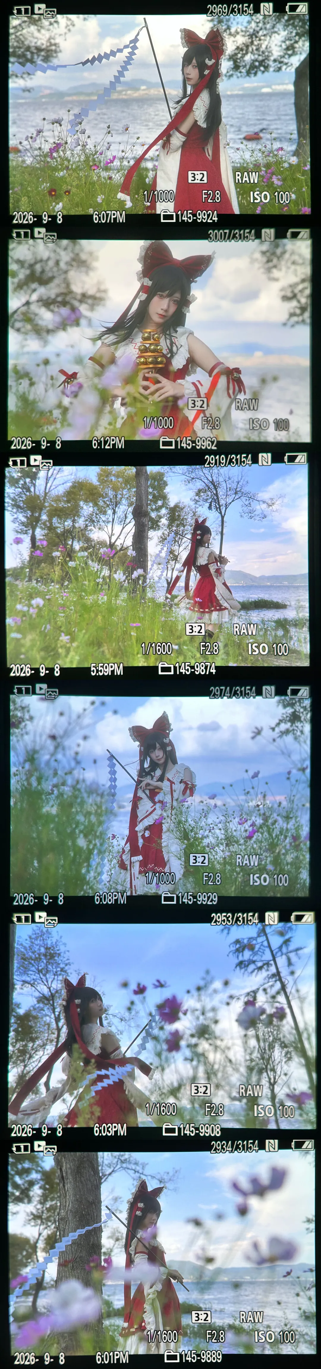 【博丽灵梦cos】在洱海边遇上格桑花期的东方Project - 第 6 张