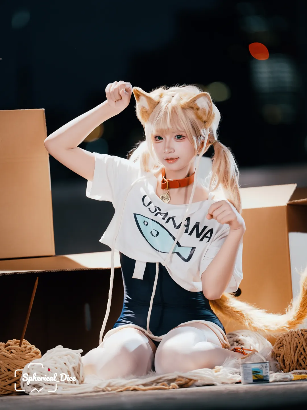 纸箱里长出的黄豆粉猫娘 - 第 2 张