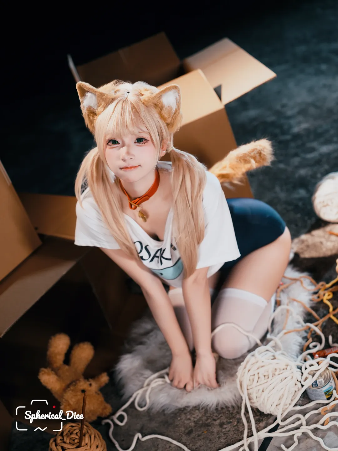纸箱里长出的黄豆粉猫娘 - 第 3 张
