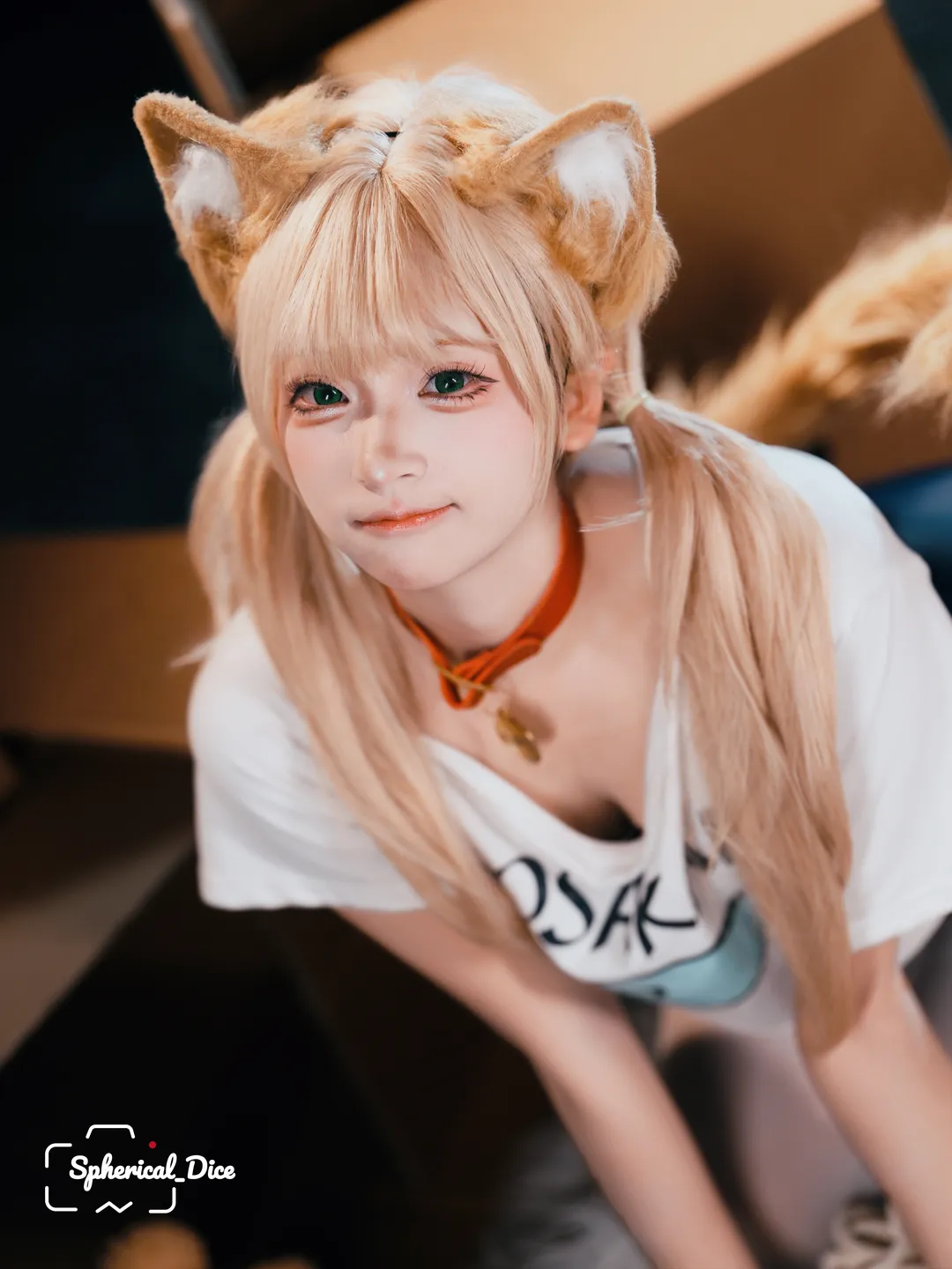 纸箱里长出的黄豆粉猫娘 - 第 4 张
