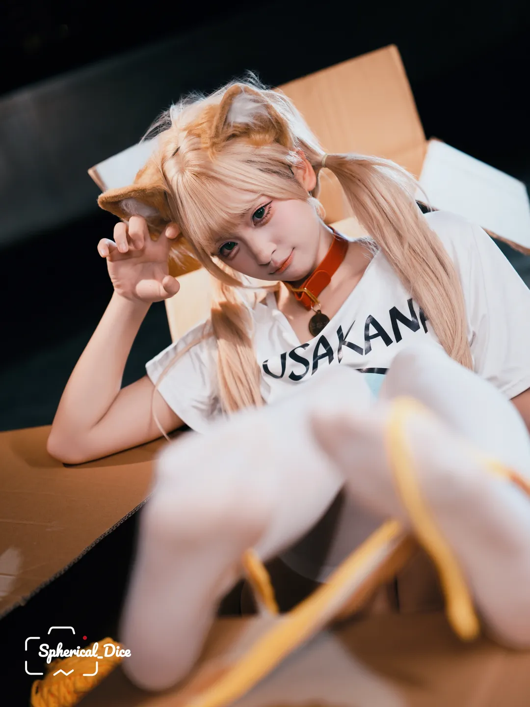 纸箱里长出的黄豆粉猫娘 - 第 7 张