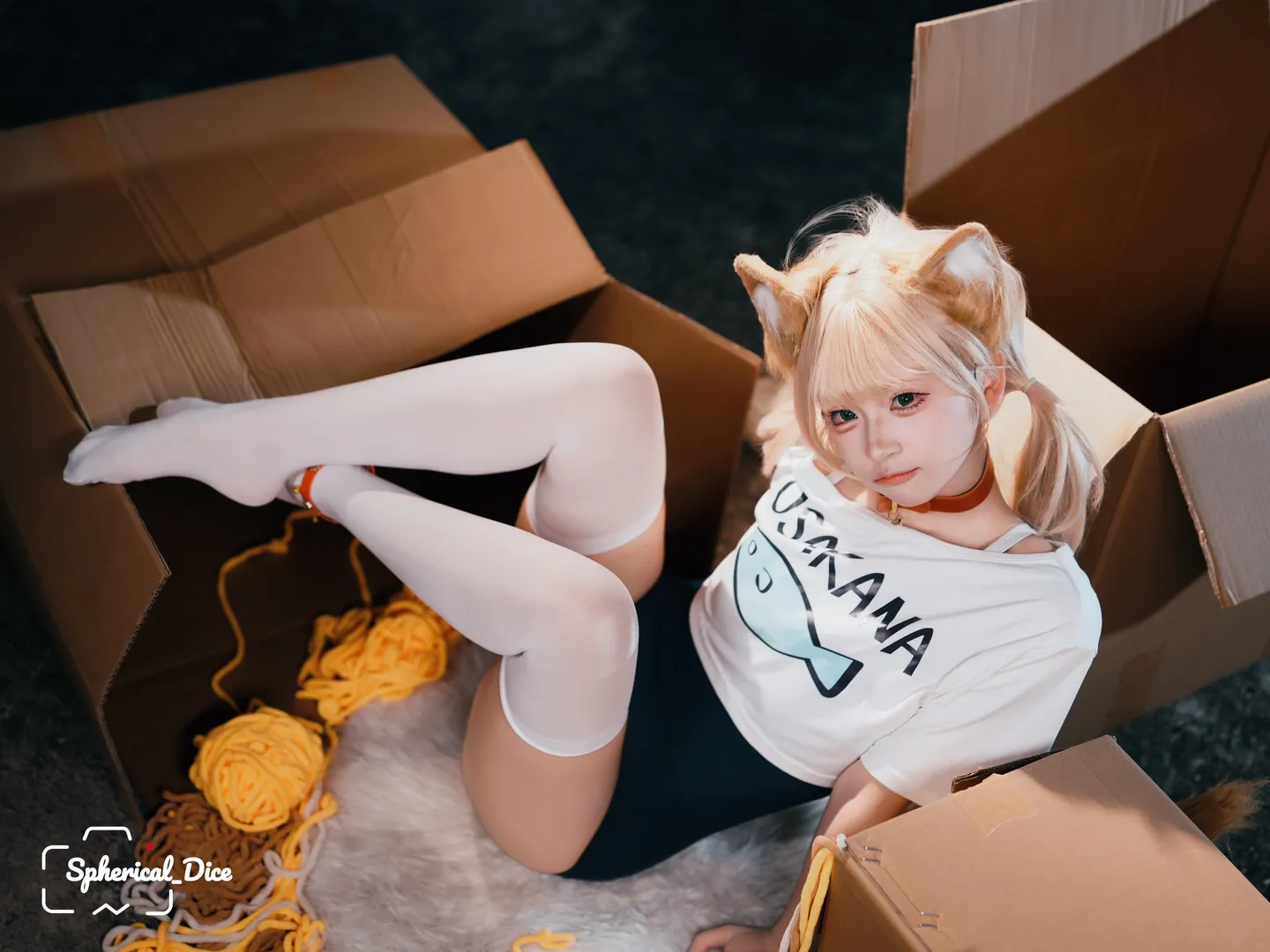 纸箱里长出的黄豆粉猫娘 - 第 8 张