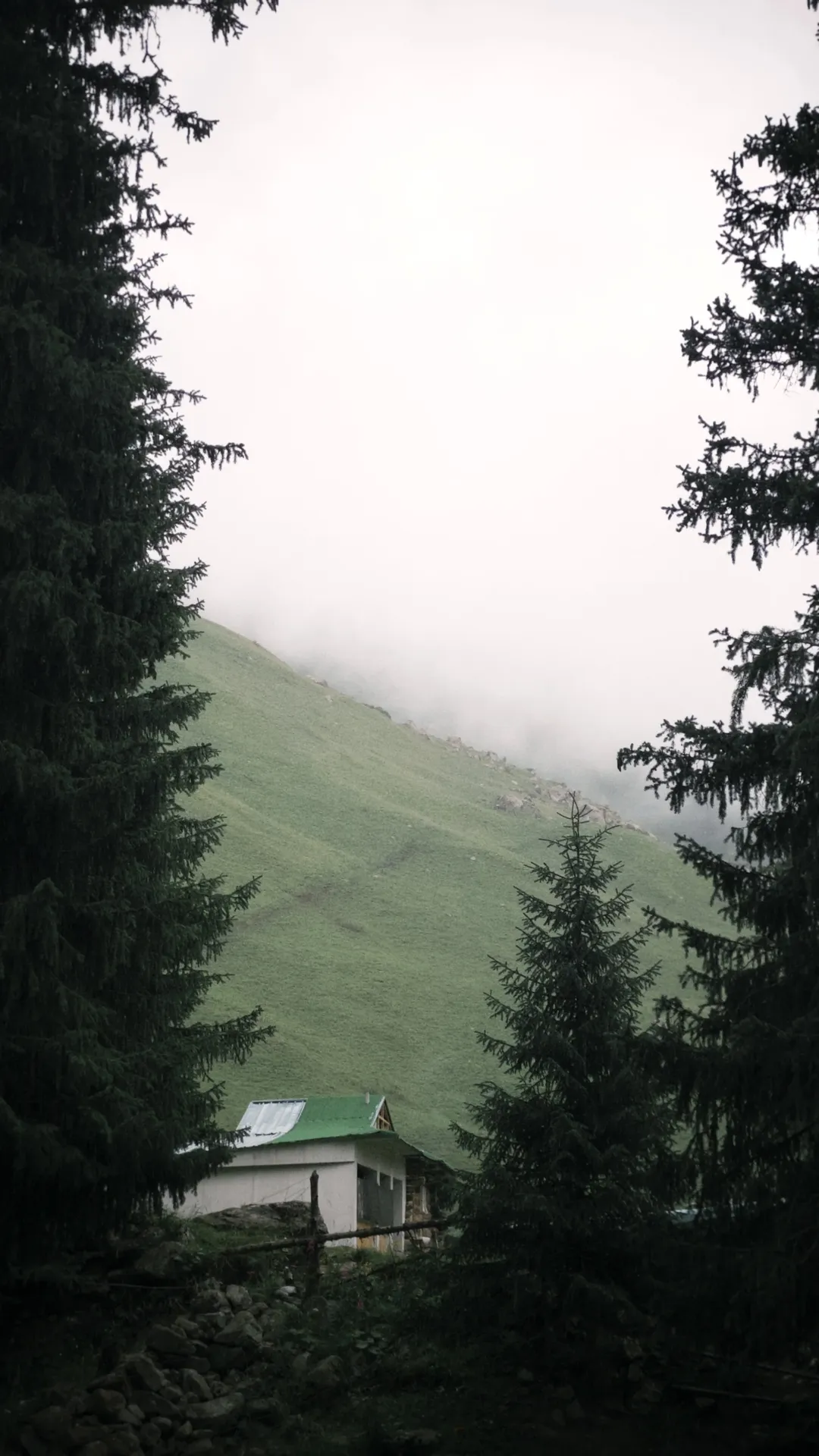 【荧cos】原神旅行者荧的雨天高山草甸记录 - 第 5 张